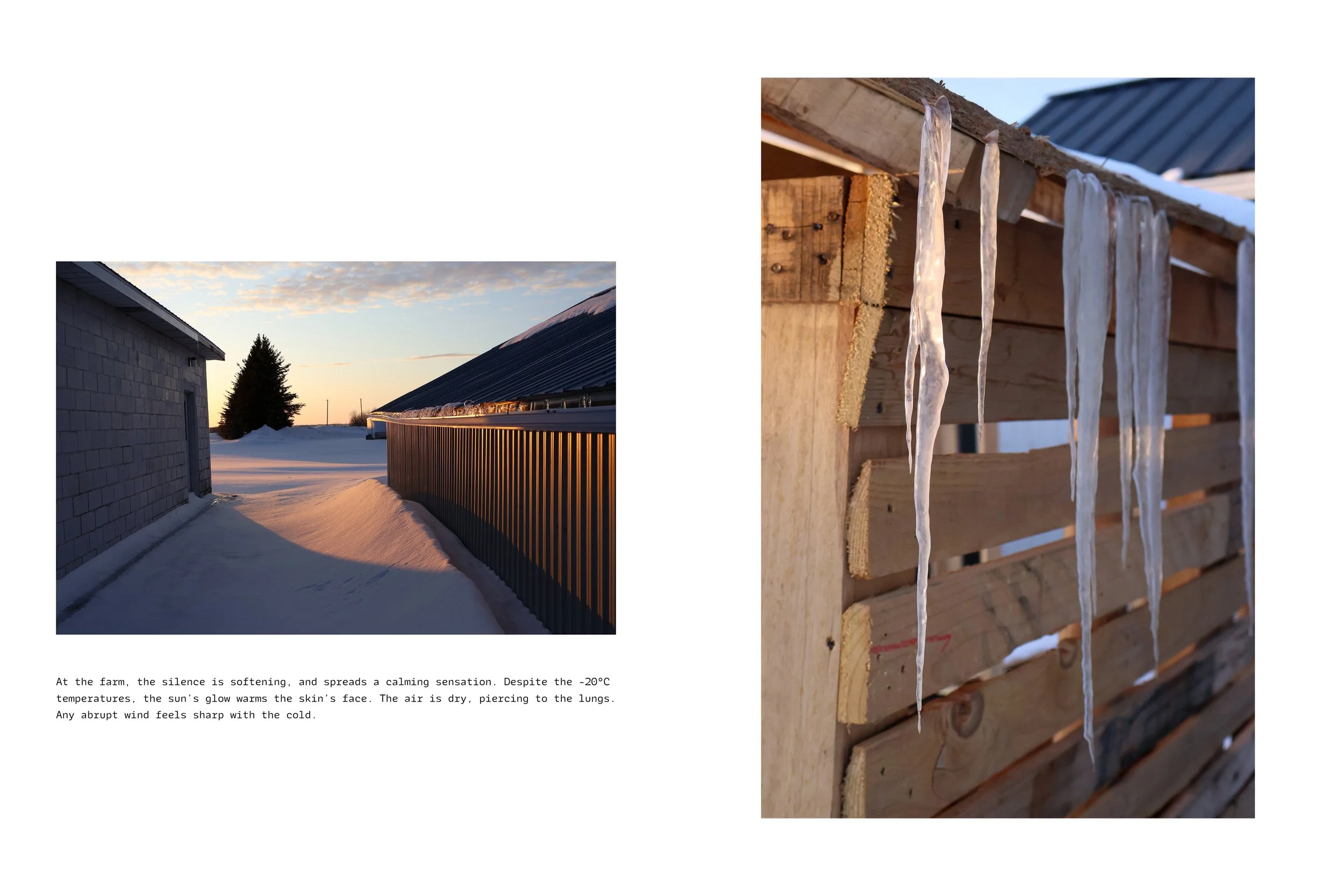DESN350_P6_Portfolio5.jpg