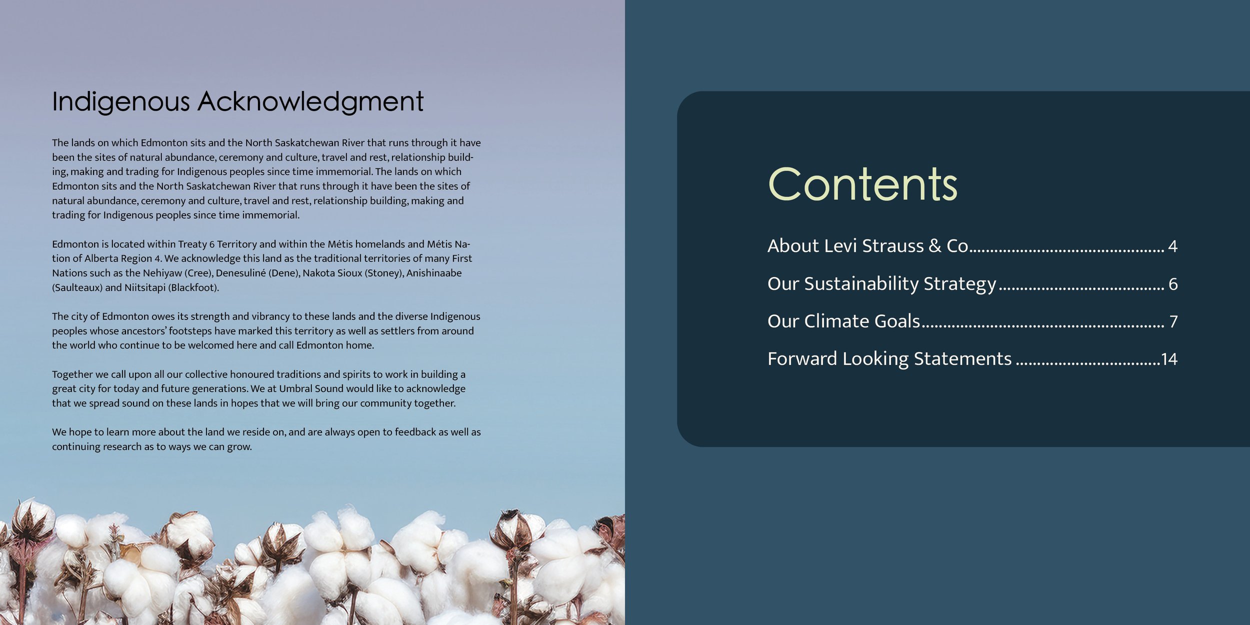 DESN231_P2_Booklet2.jpg