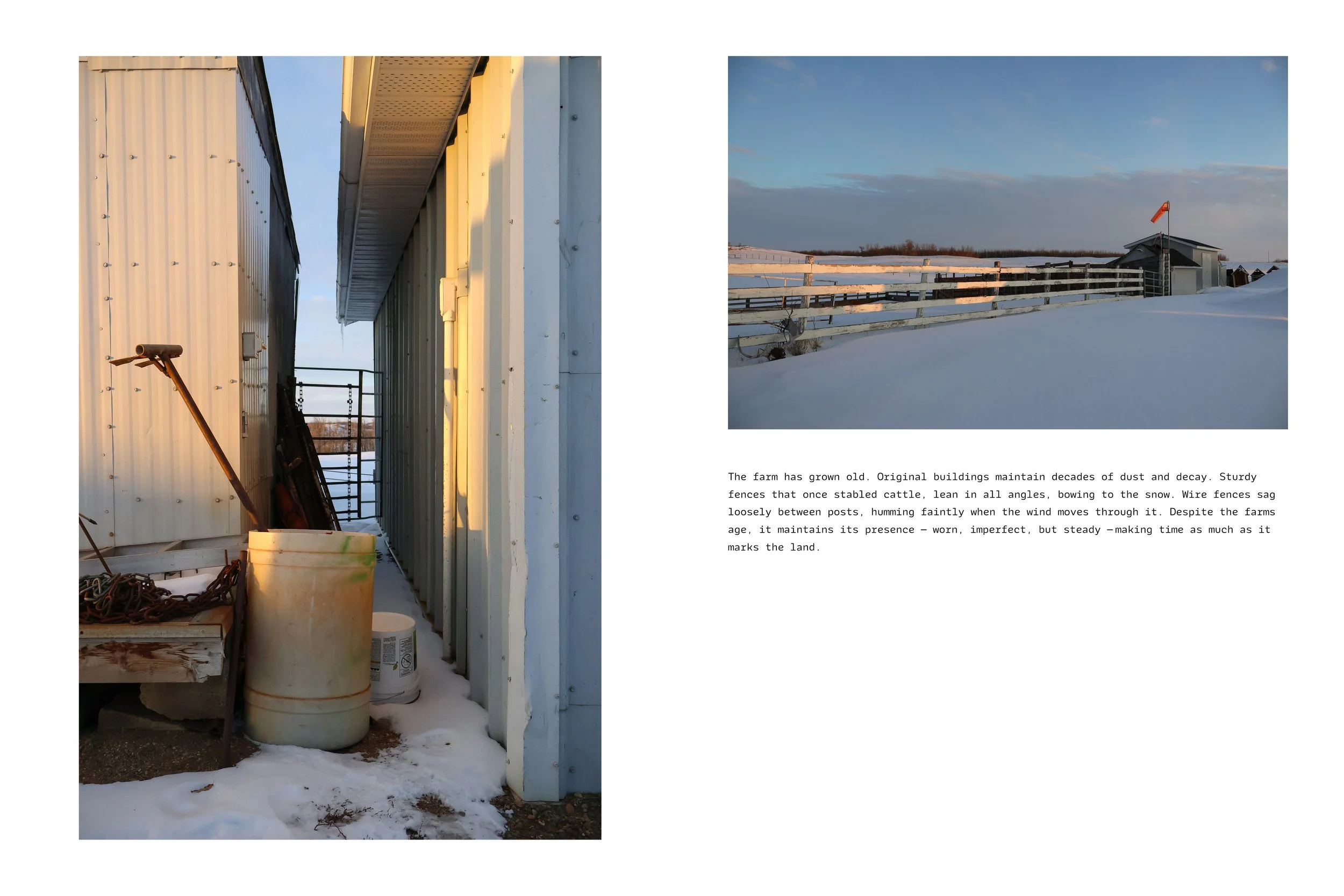 DESN350_P6_Portfolio2.jpg