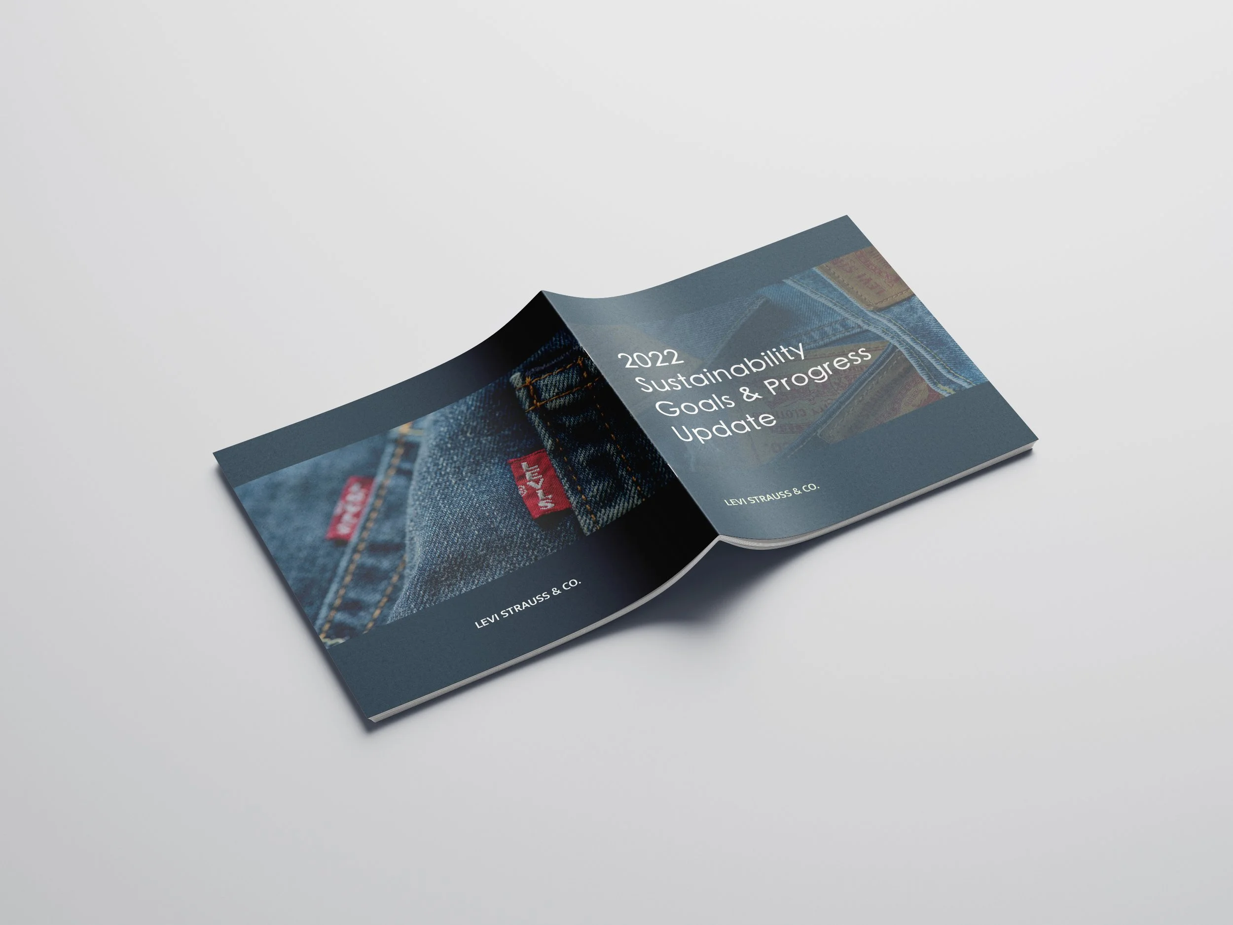 Square_Brochure_Covers.jpg
