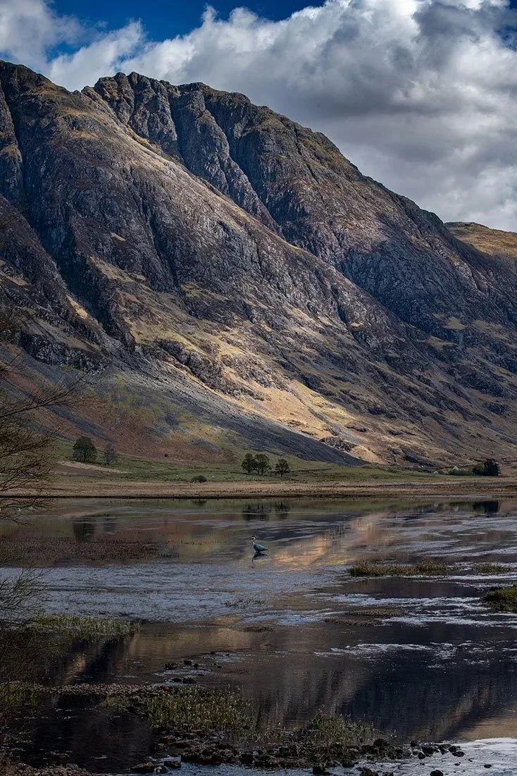 Glencoe.