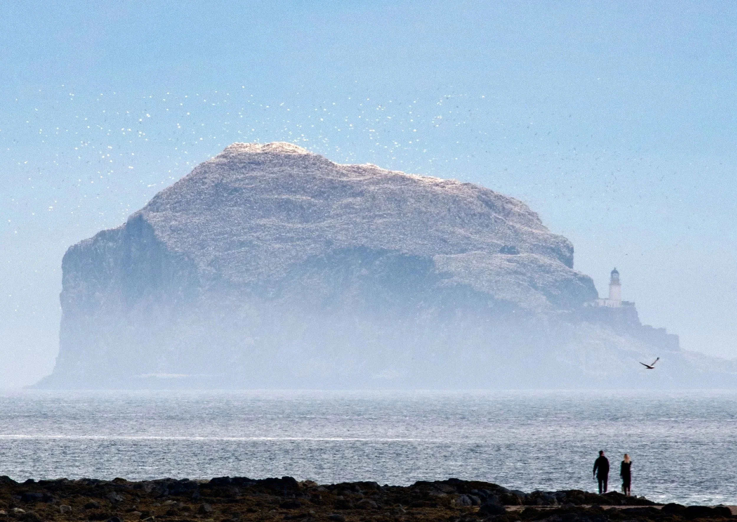 The Bass Rock, East Lothian.
