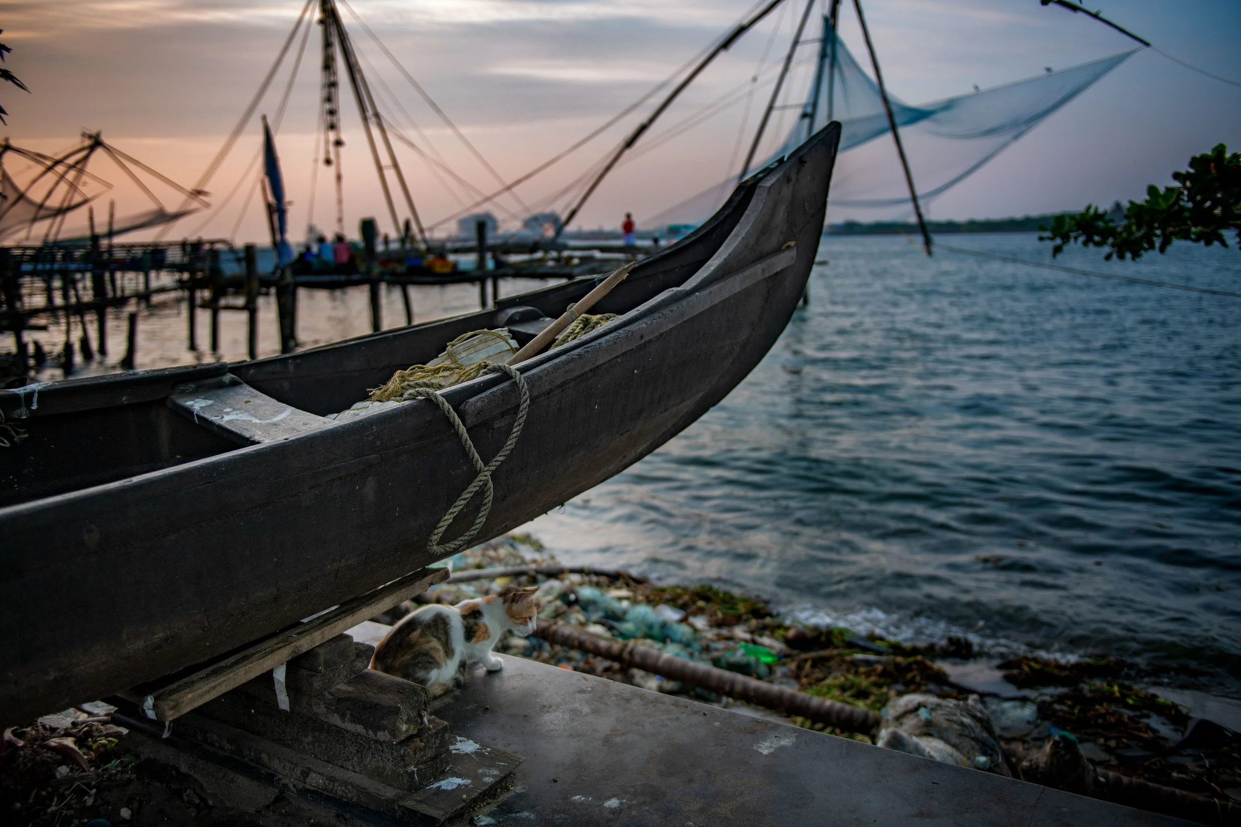 Kerala, India.