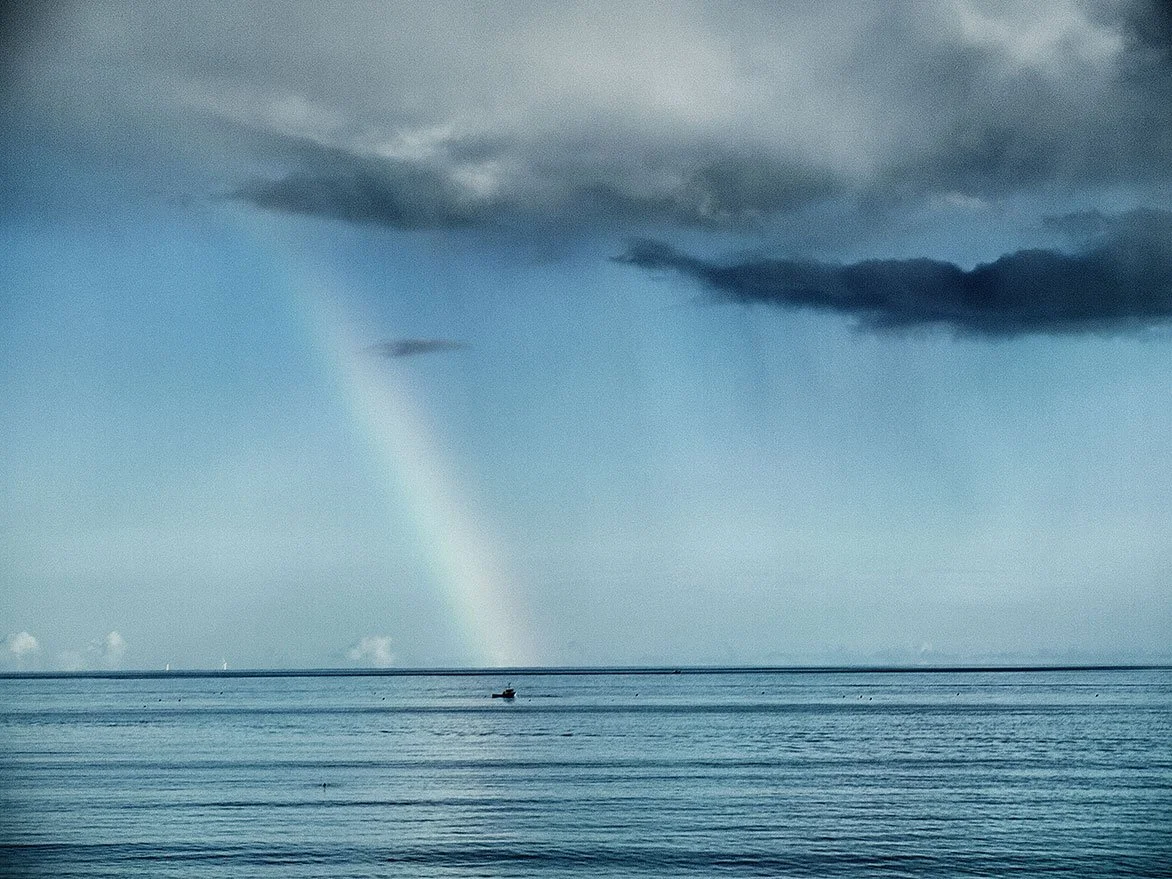 P9307455b_Snapseed.jpg