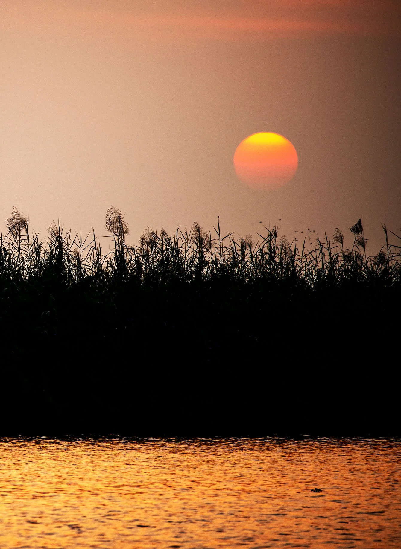 Kerala, India.