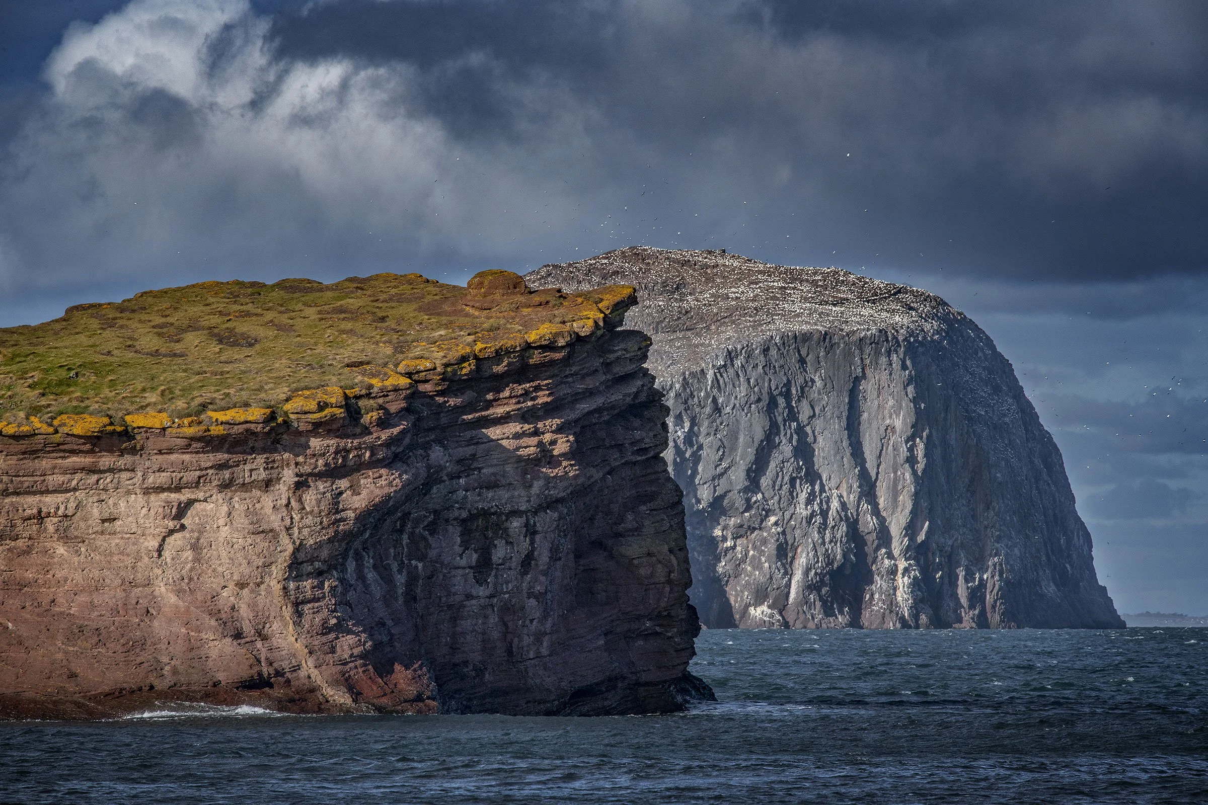 The Bass Rock from Seacliff.