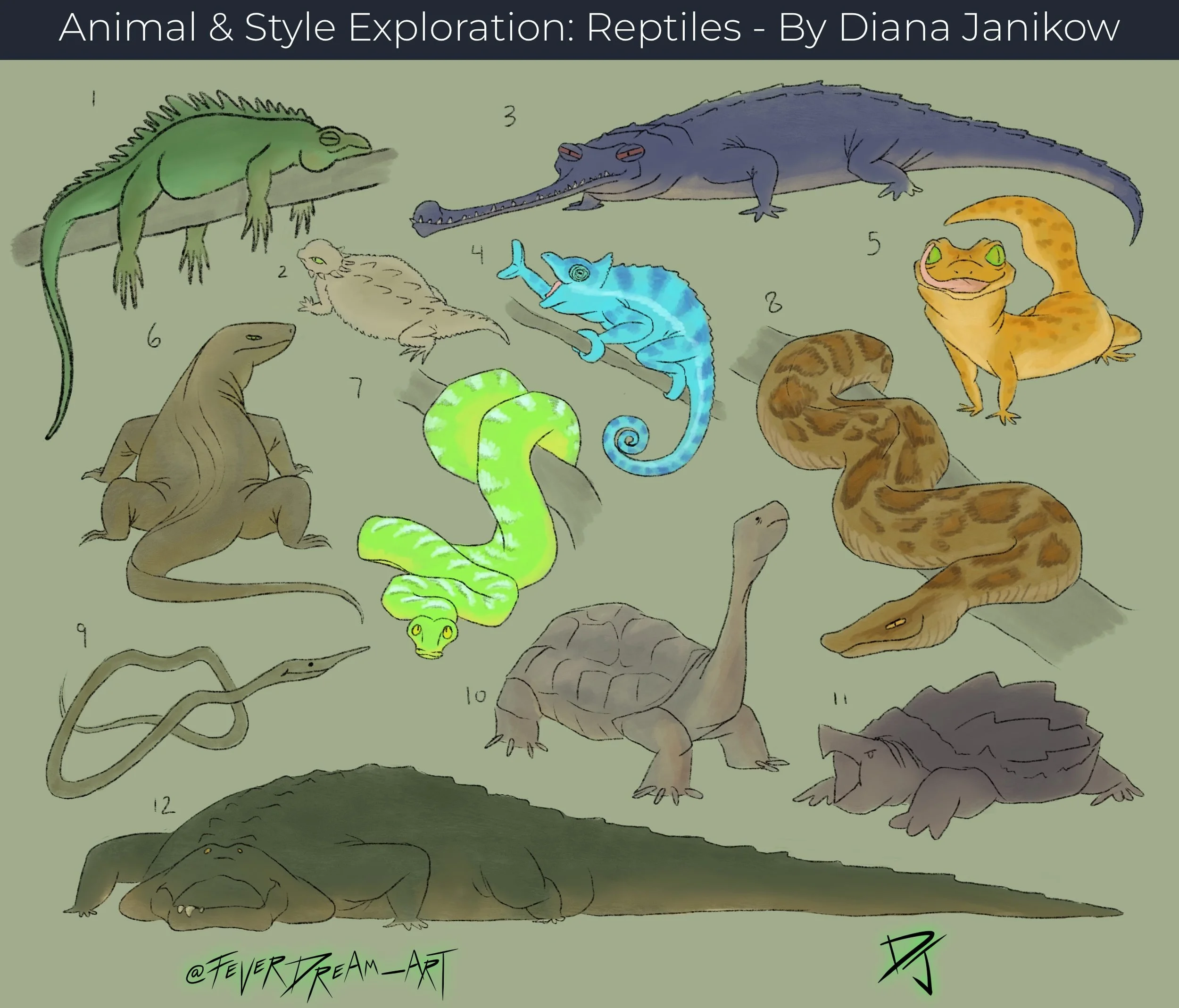Reptile Exploration.jpg