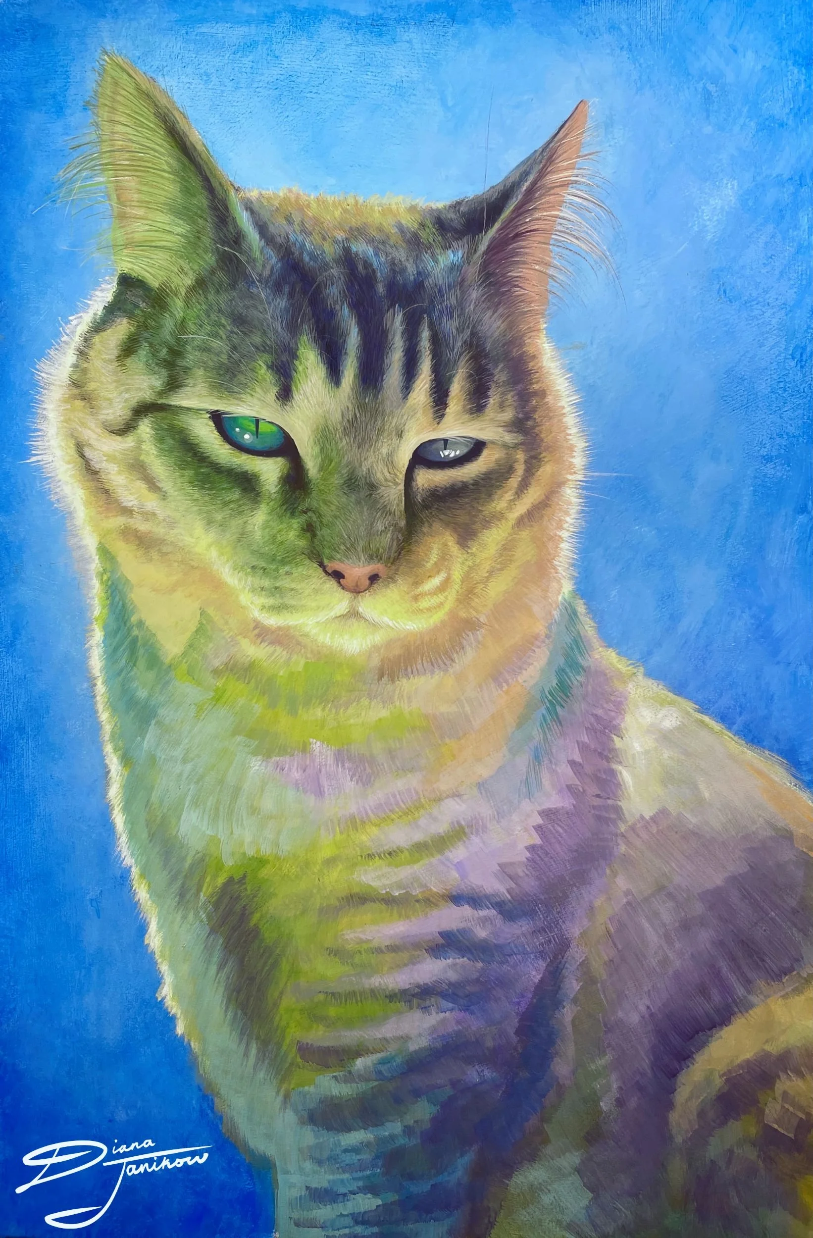 Colorful Cat.jpg