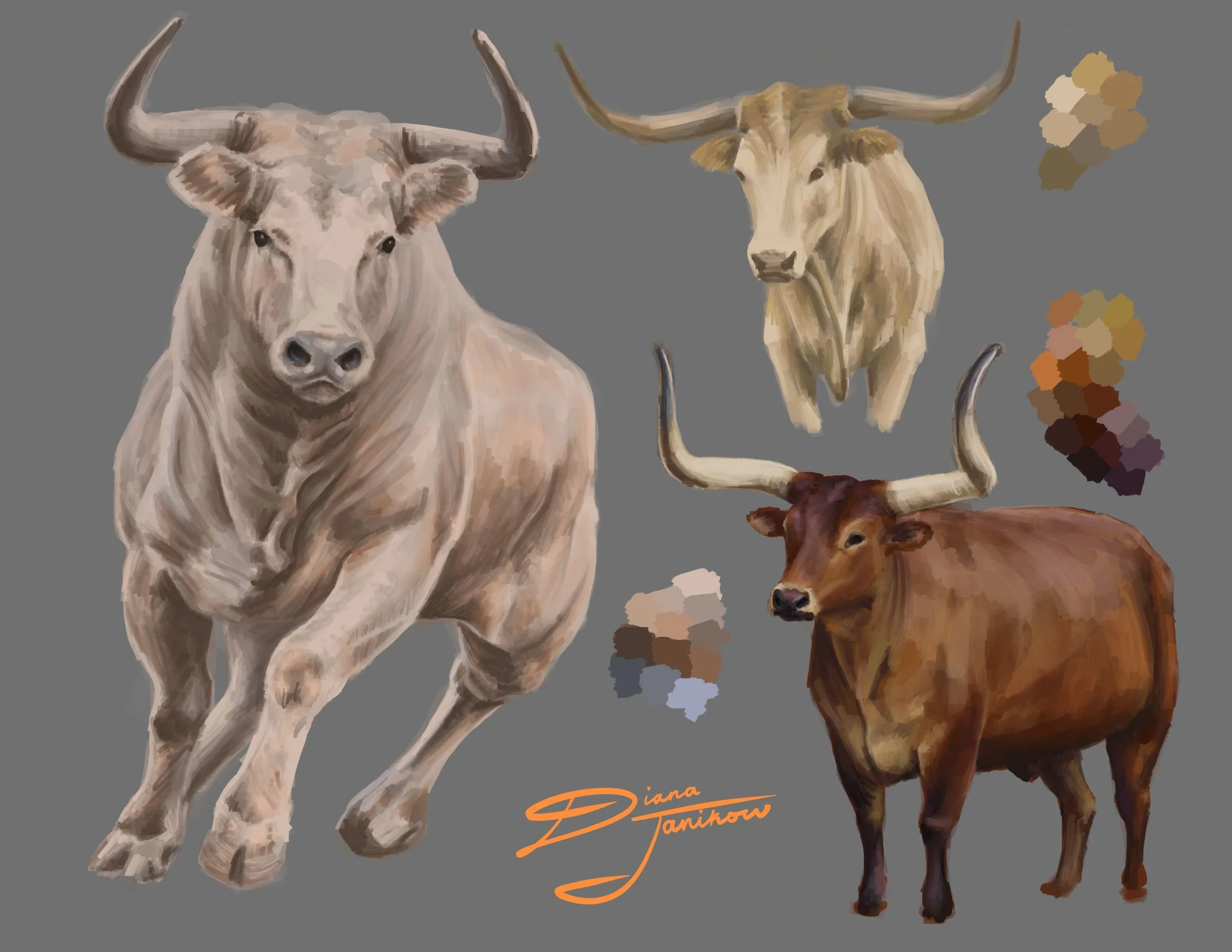 Bulls.jpg