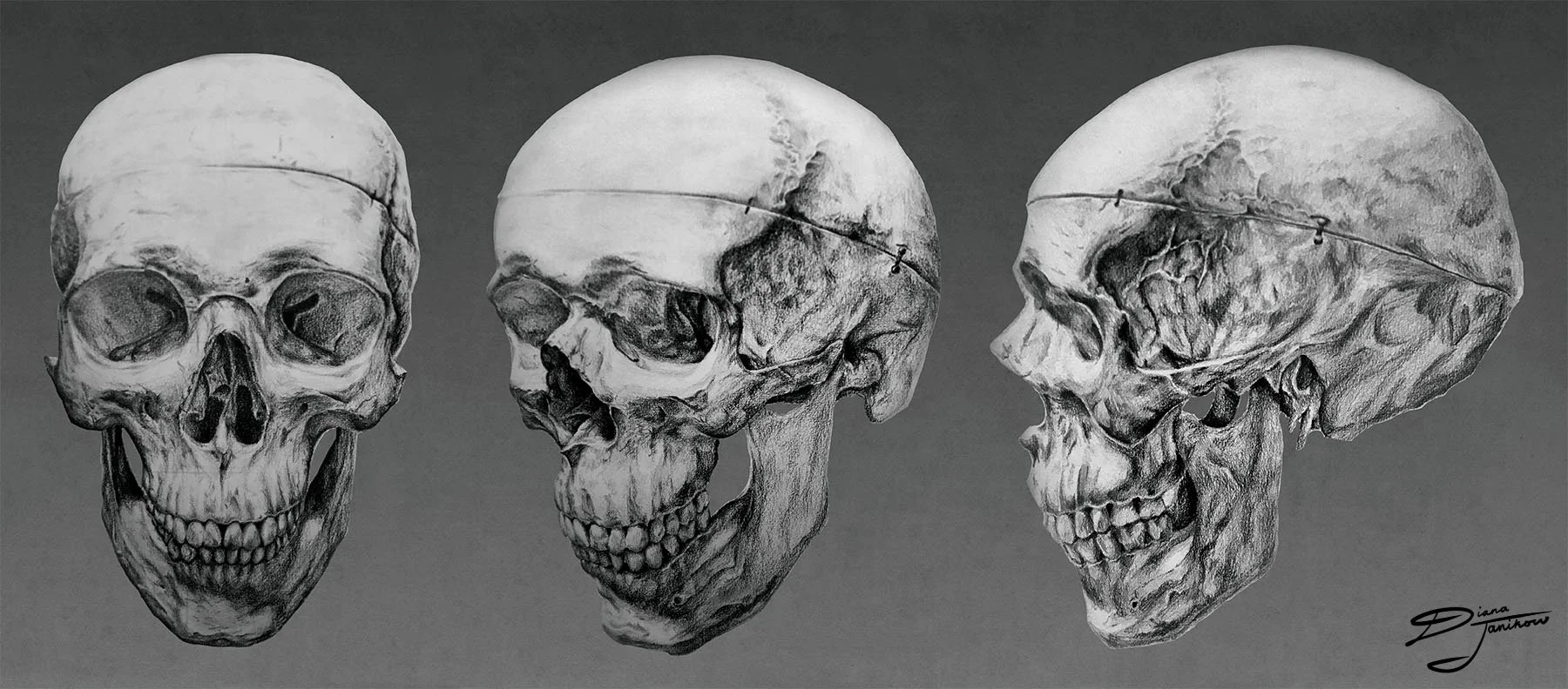Skully.jpg
