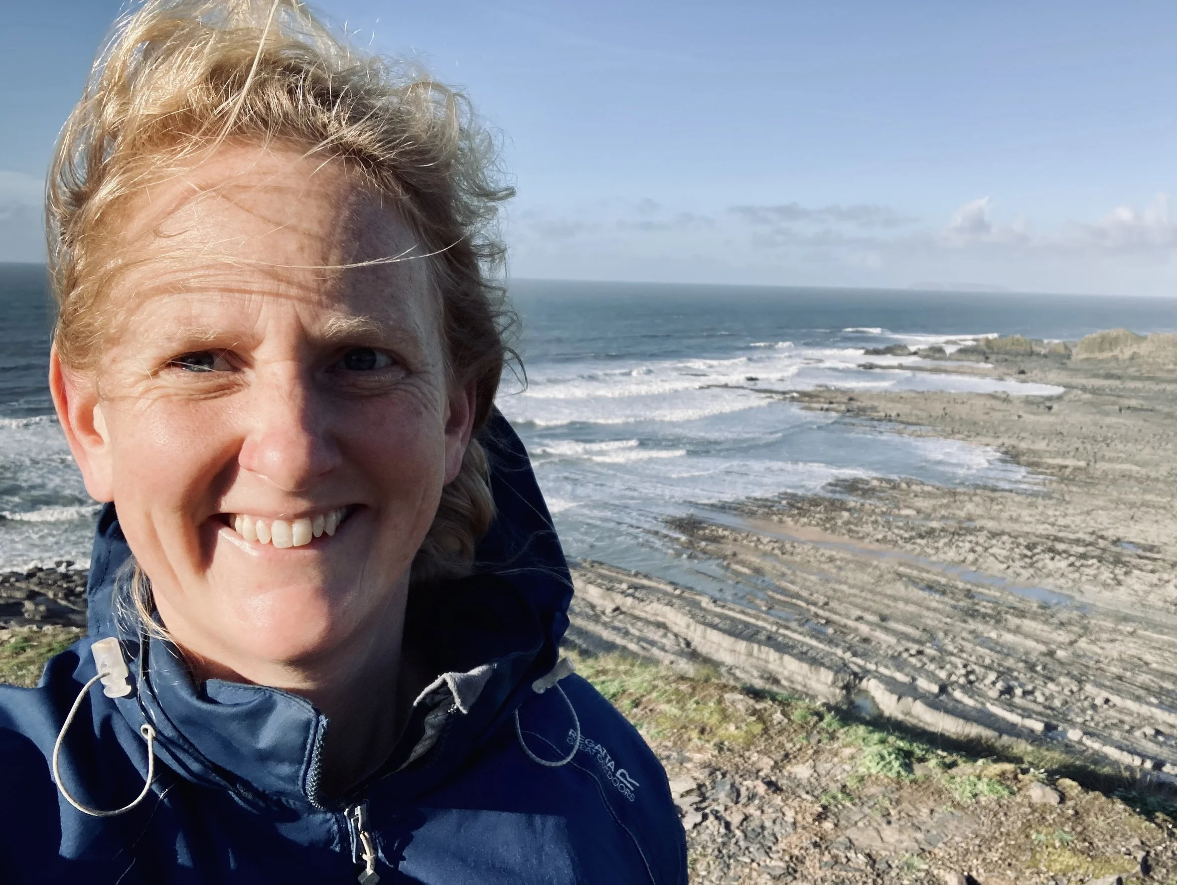Close-up of Henri standing out on the Cornish coast path on a windy day.