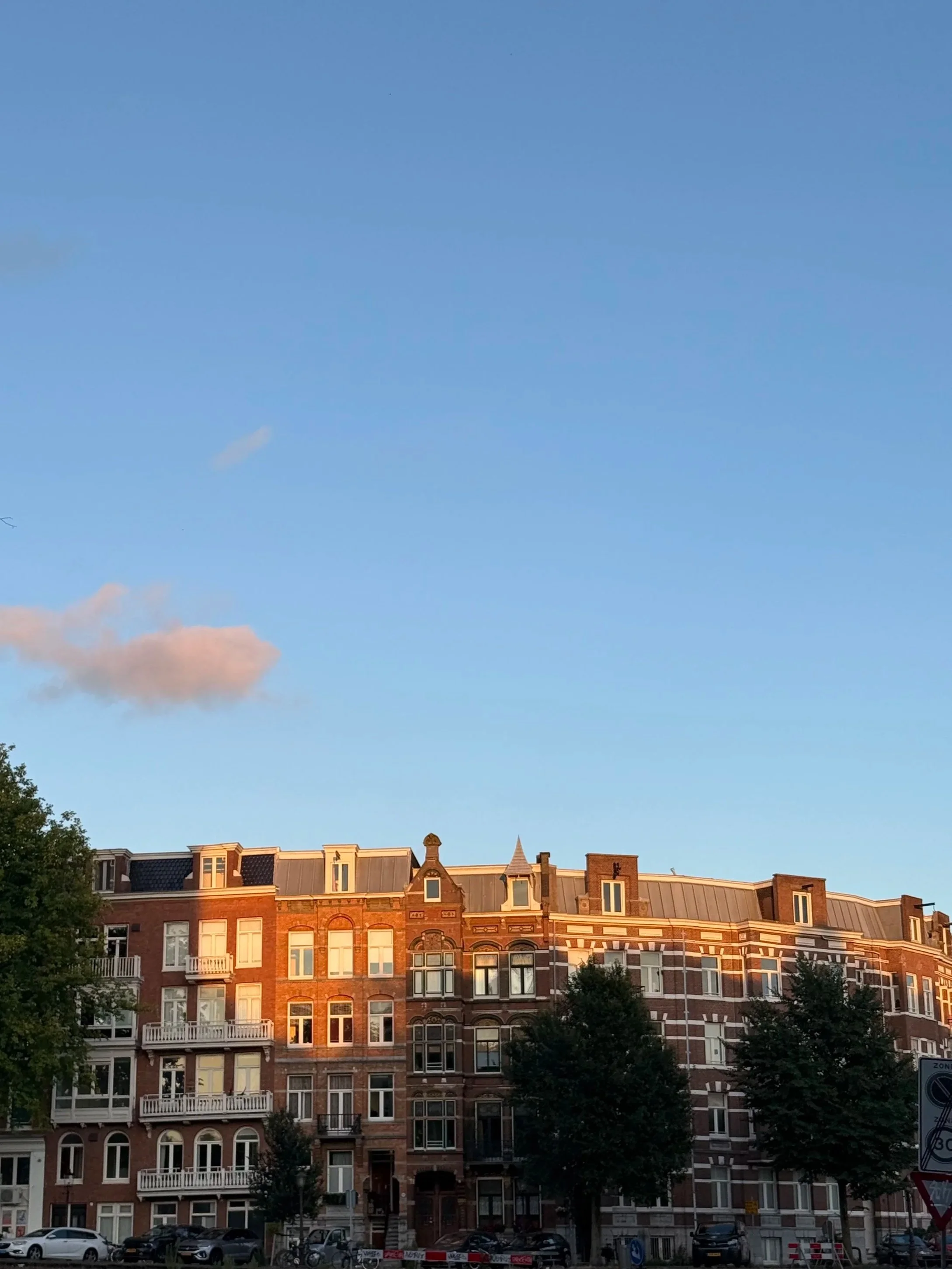 A row of historic Amsterdam buildings with ornate architectural details and large windows, topped with varied roof styles, in front of a blue sky with a few clouds. Trees line the street at the bottom of the image.
