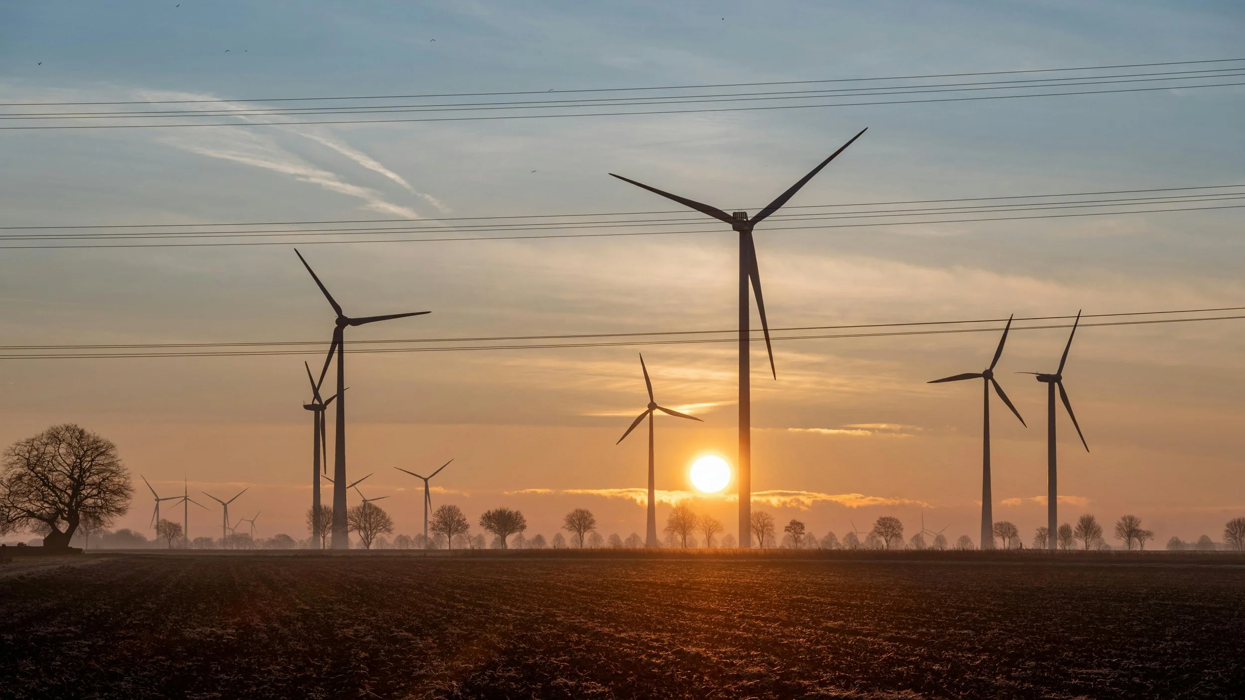 A landscape with wind turbines during sunset, with the sun near the horizon, a few trees, and a partly cloudy sky.