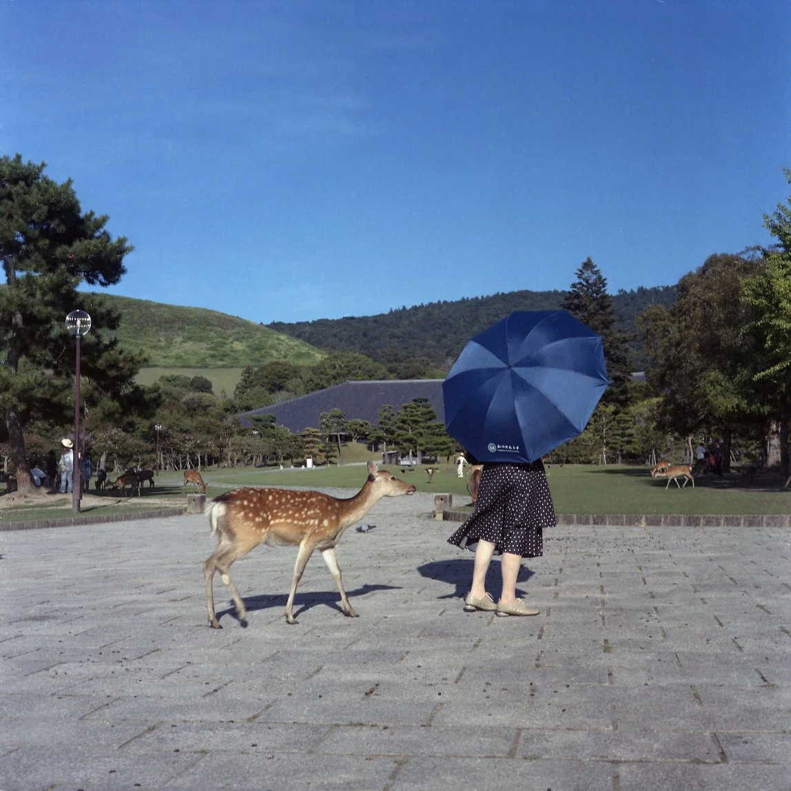 img385.jpg