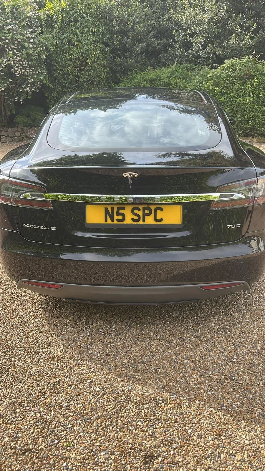 tesla rear.jpg