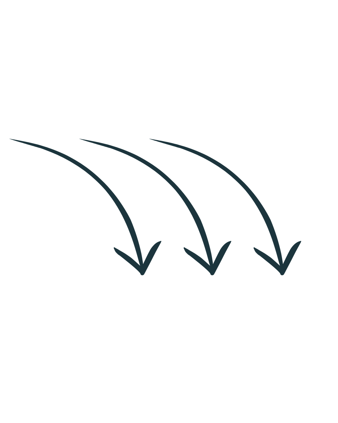 Diagram showing three diverging arrows indicating different directions or paths.