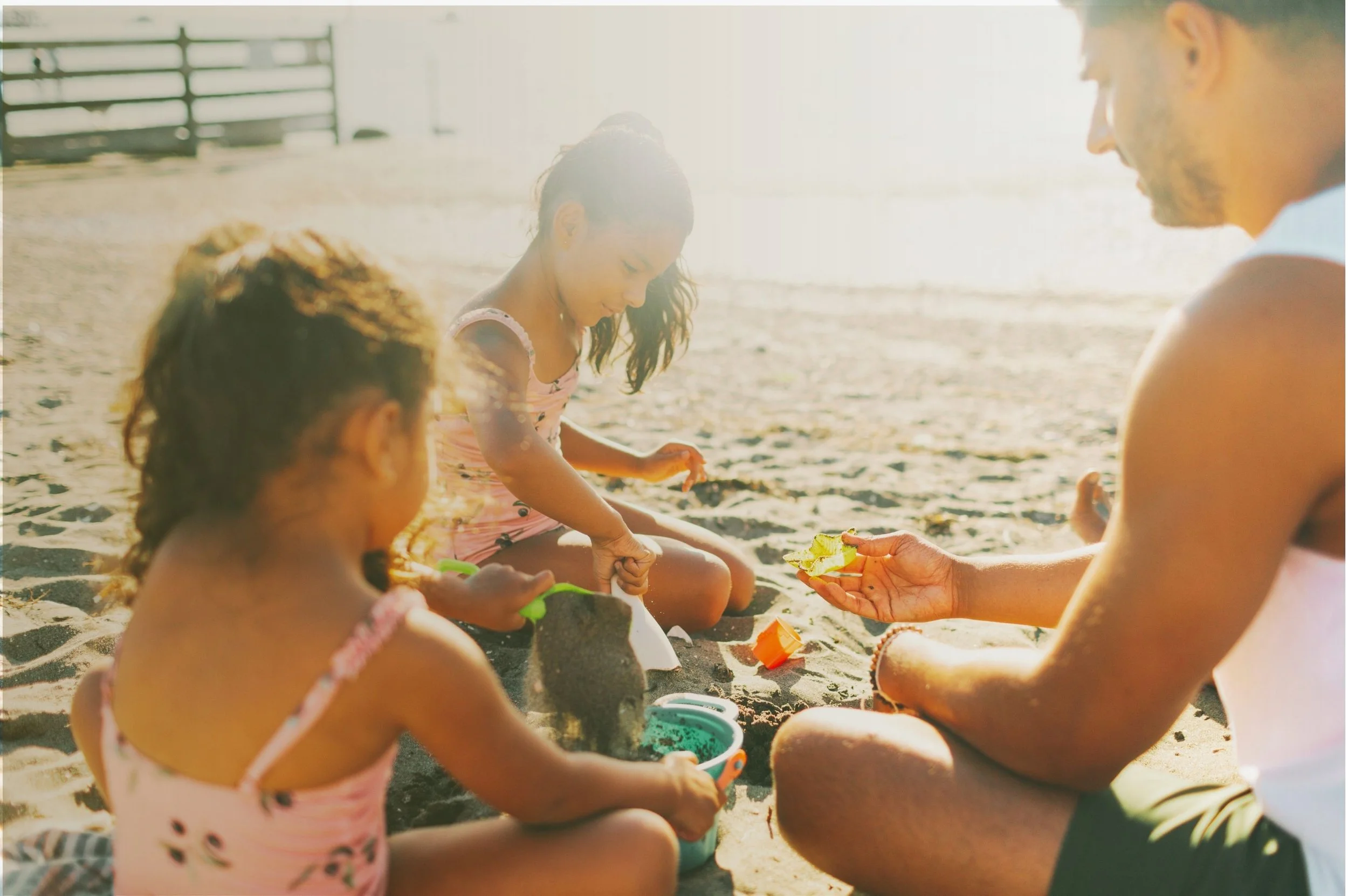The Sibling Harmony Toolkit