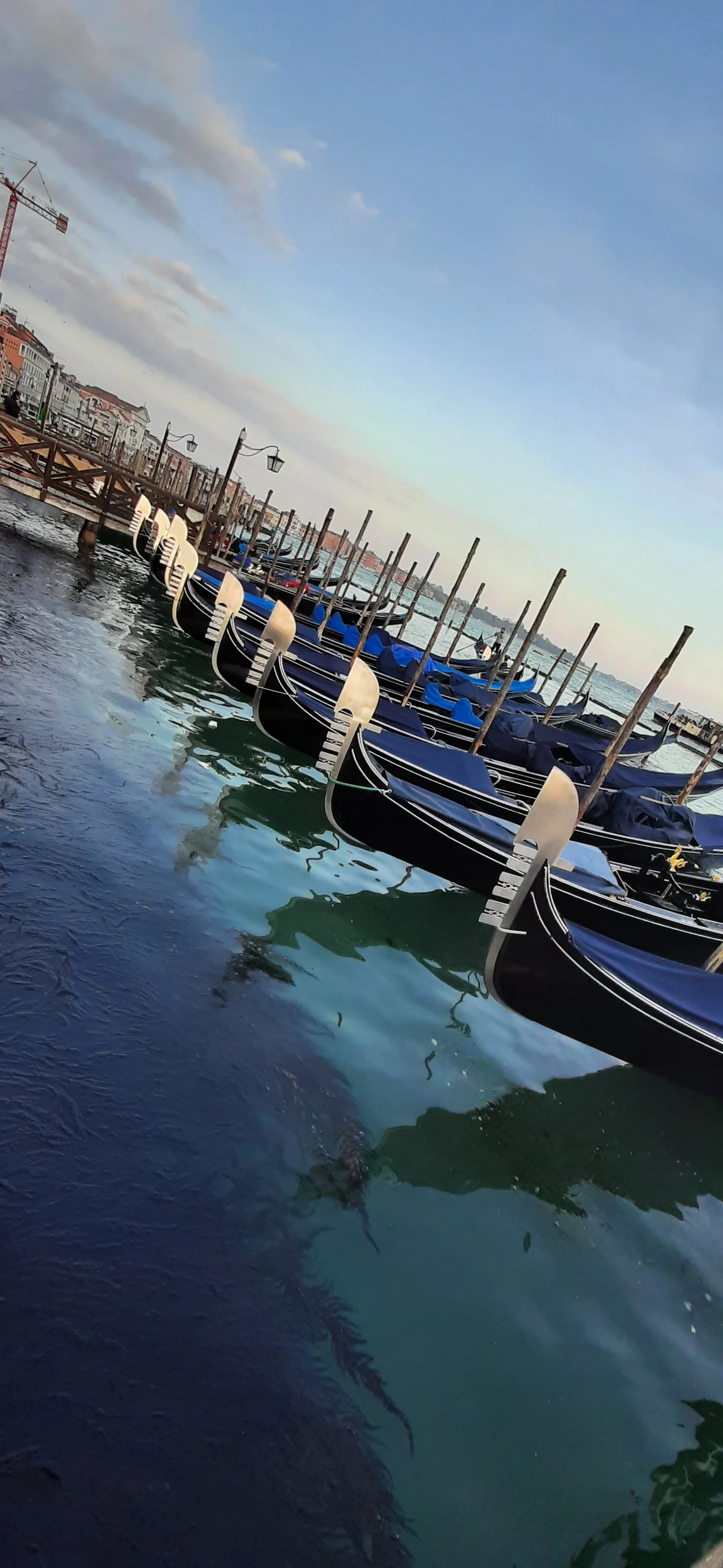 my beloved Venice