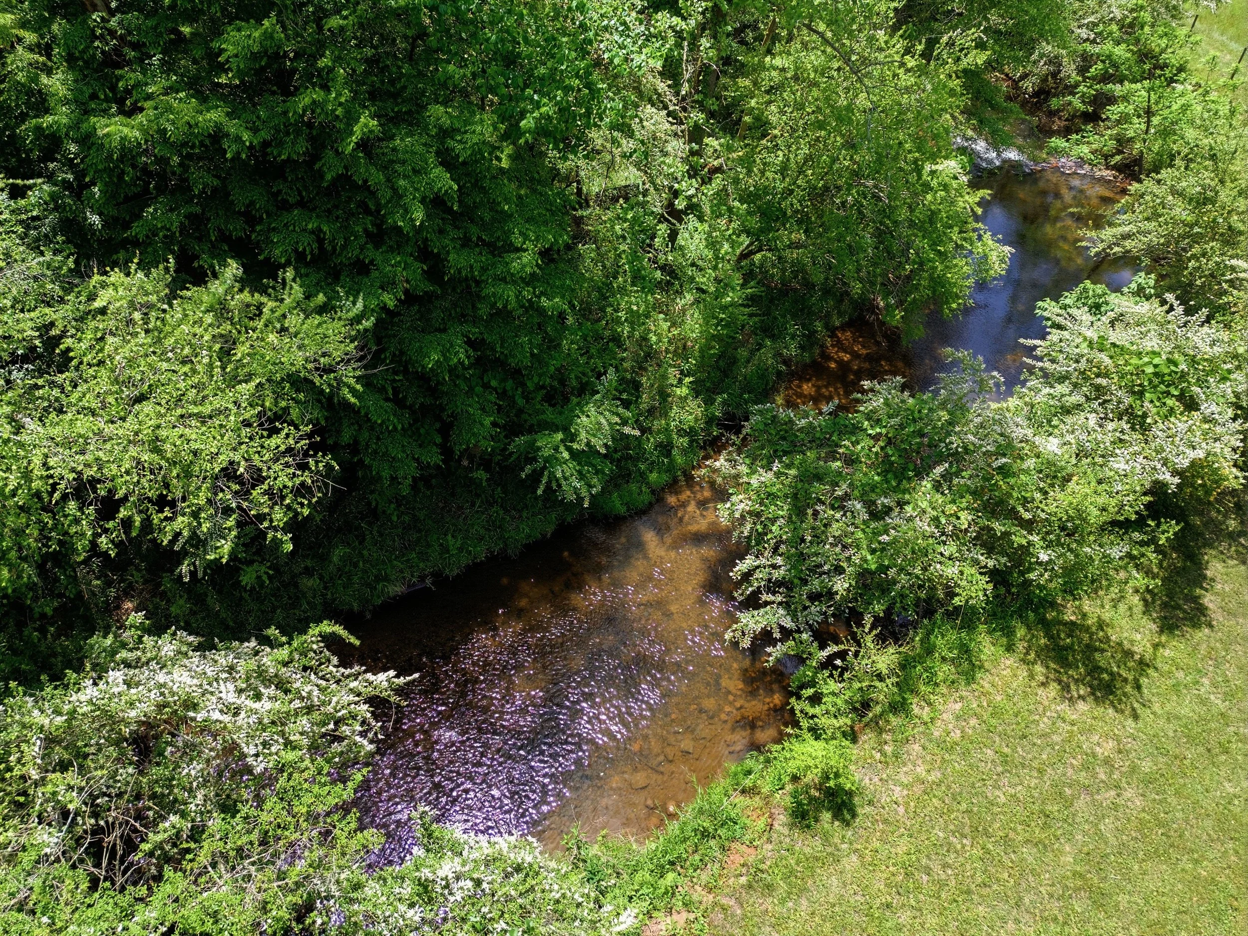 619HampHillRdDahlonegaAerials203.jpg
