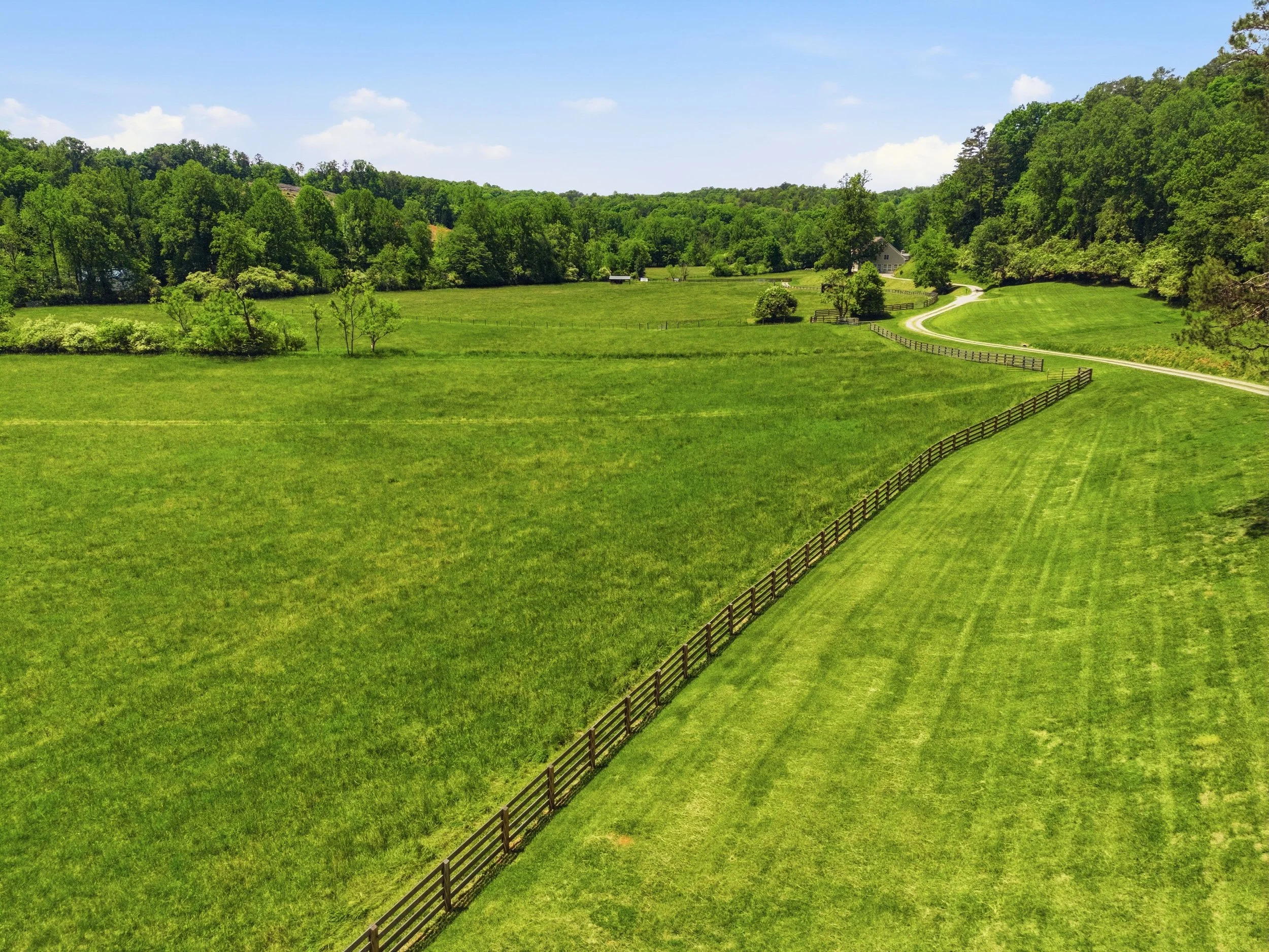 619HampHillRdDahlonegaAerials209.jpg