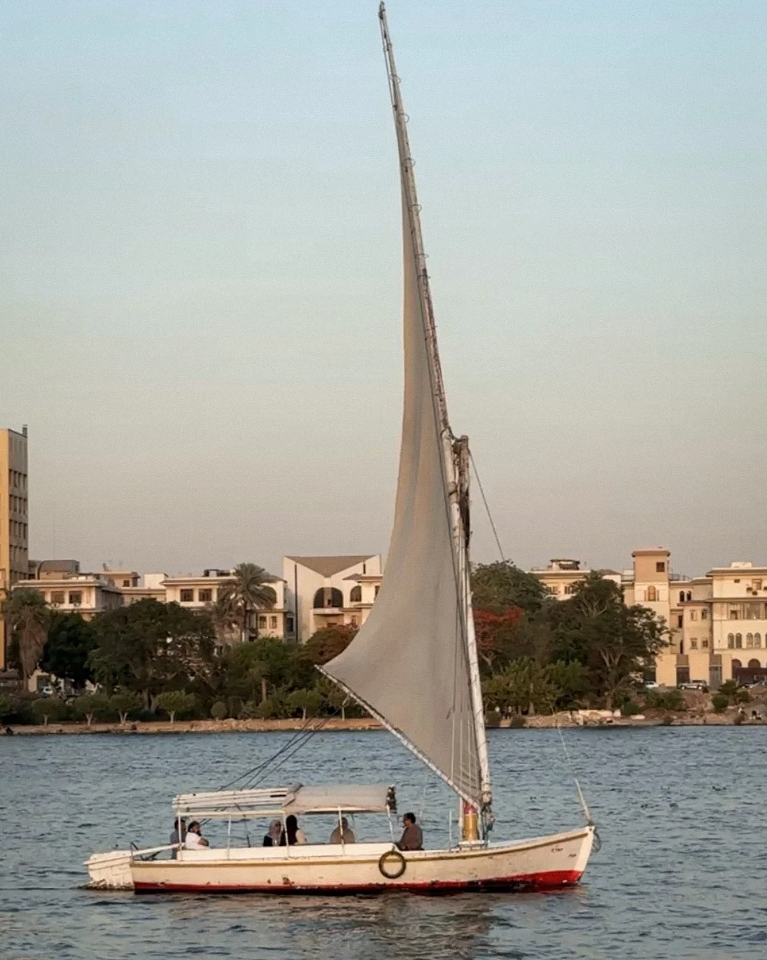 A sailboat with a large, partially unfurled sail on a body of water with buildings and trees in the background during sunset.