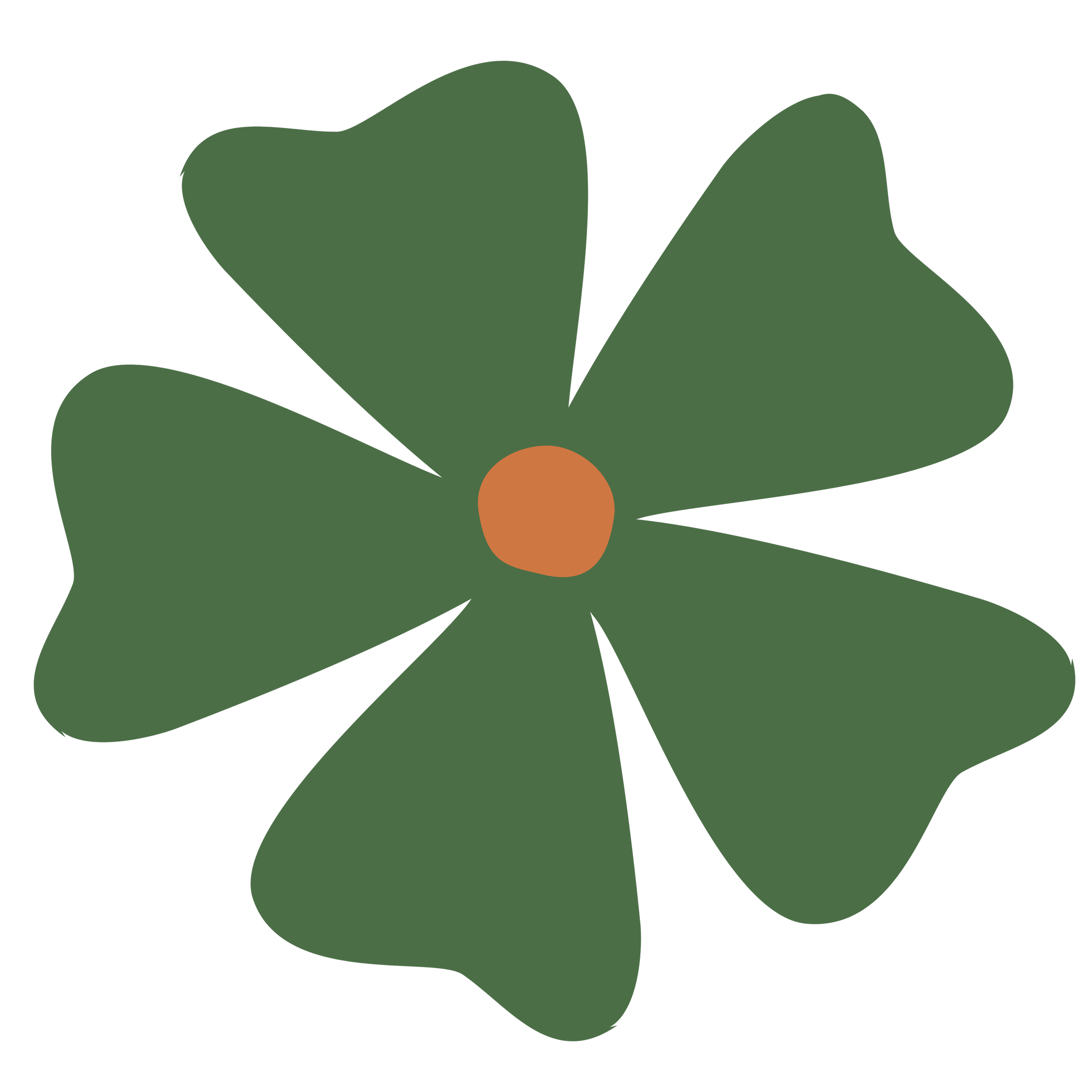 A dark green flower with a dark orange centre