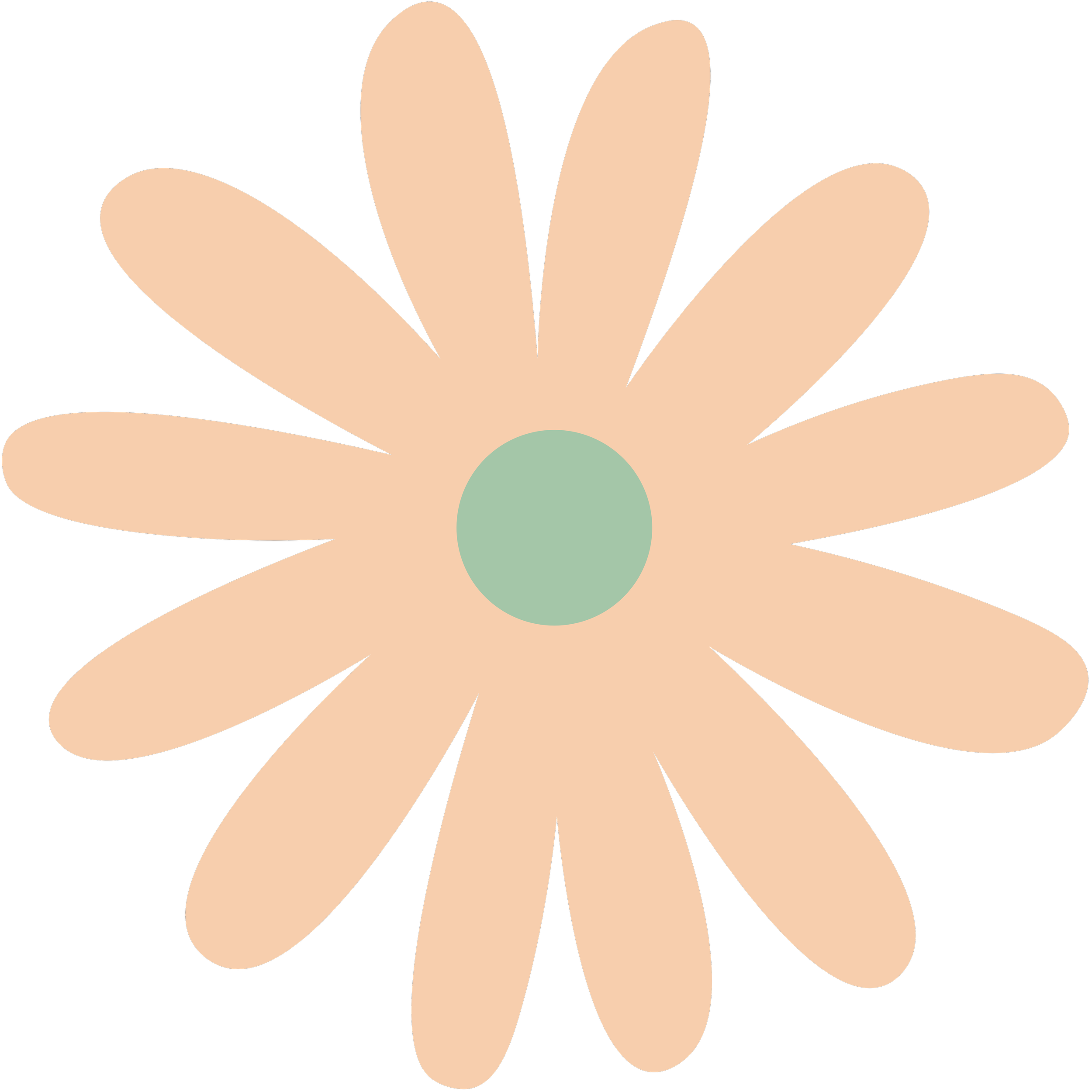A flower with many light beige petals and a light green centre