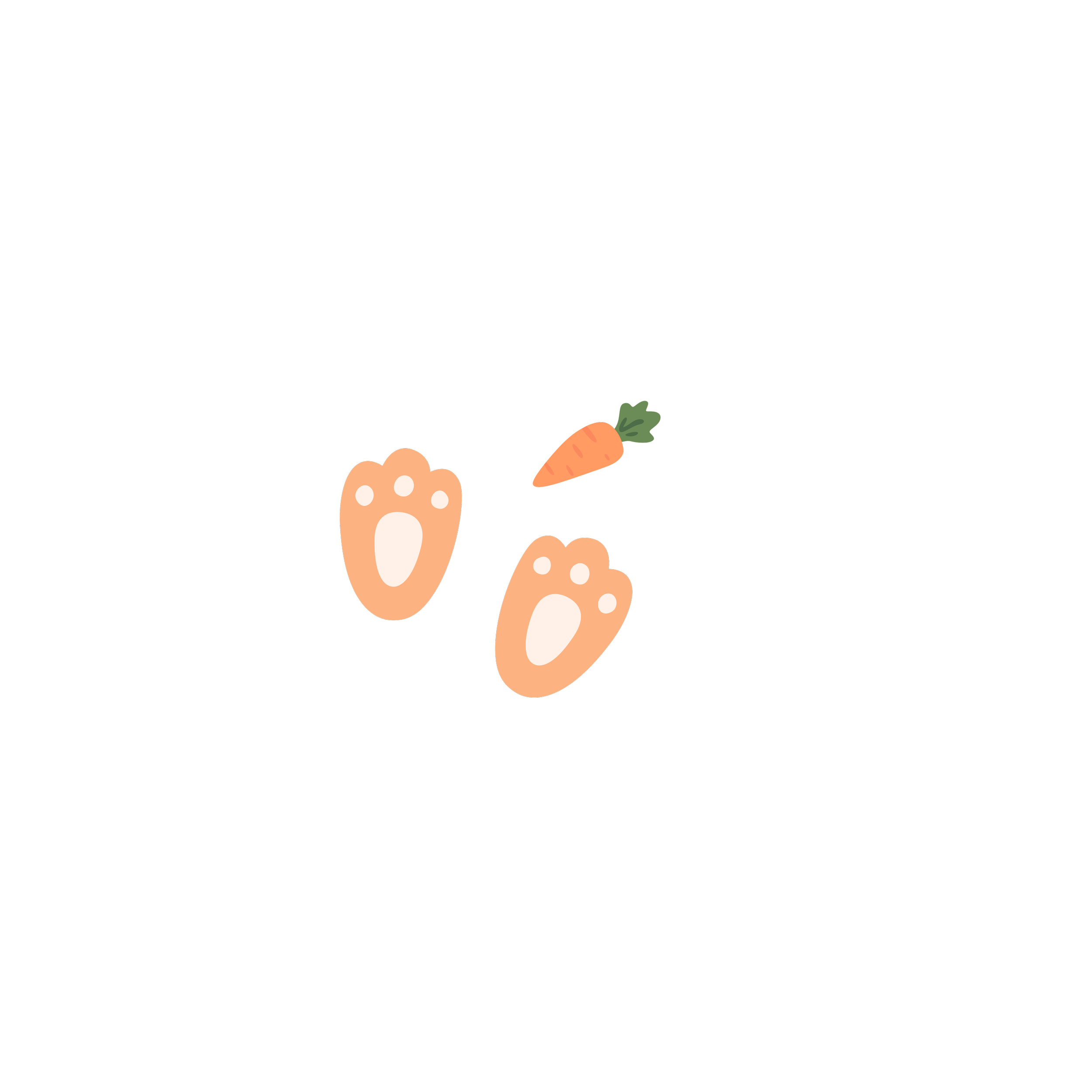 Drawing of carrots and rabbit paw prints