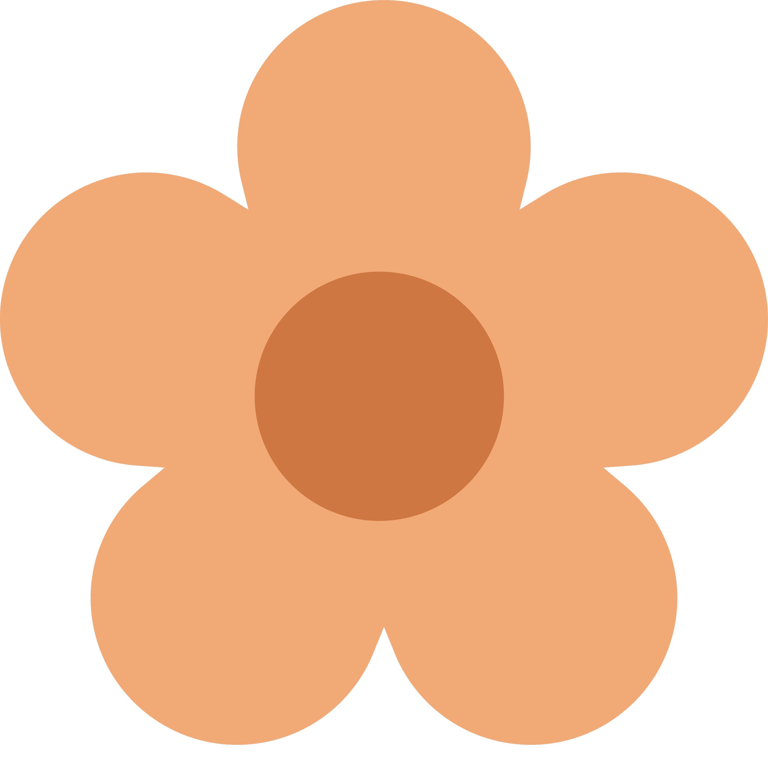 A simple flower with lighter orange petals and a darker orange centre