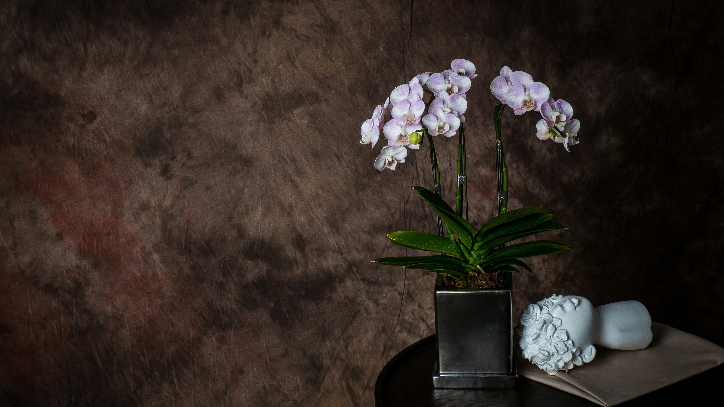 A potted orchid with white and purple flowers, positioned on a black table next to a white sculpture of a woman’s face and hair. The background is a dark, textured surface.