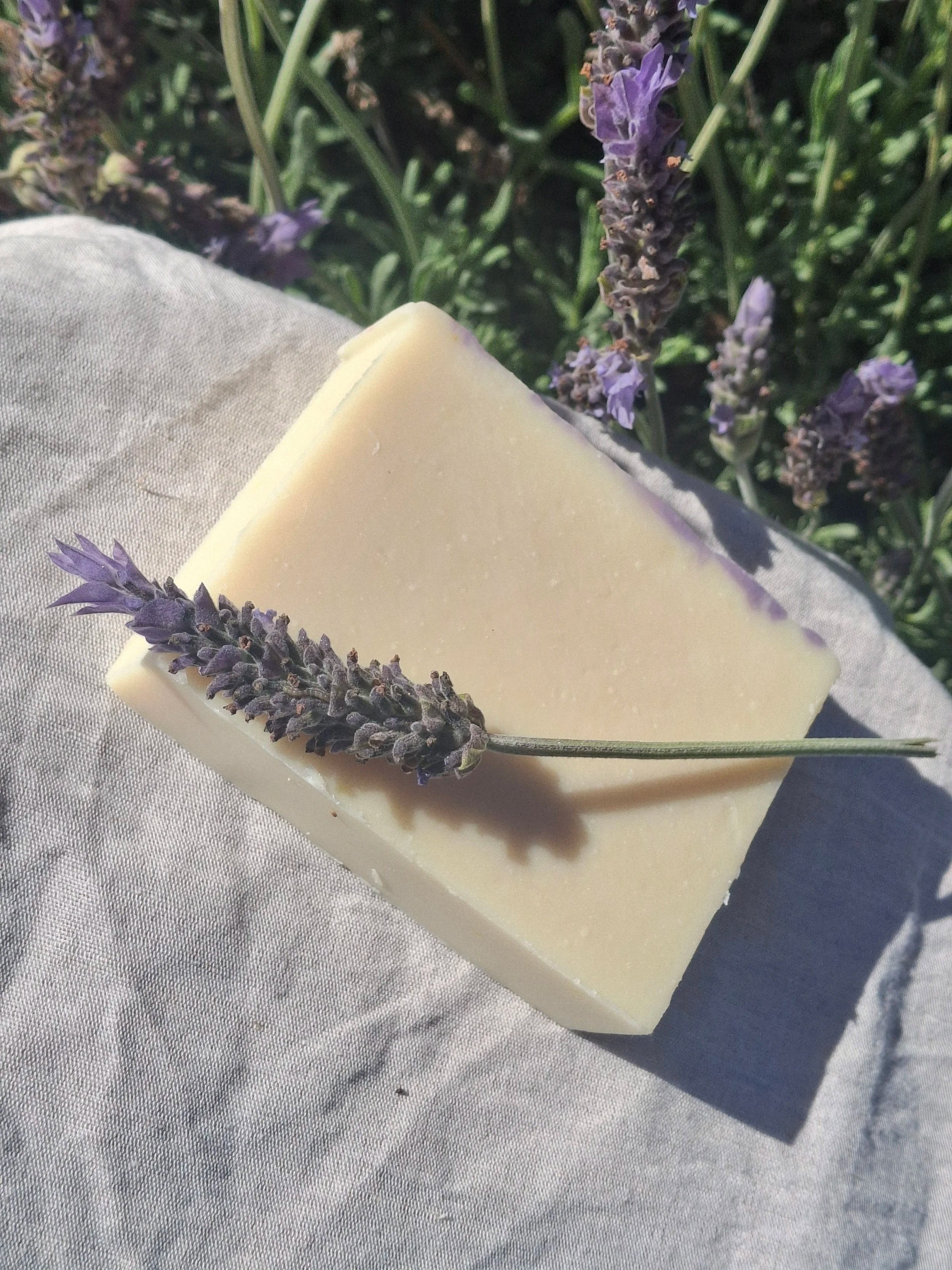Lavender Cream handmade goat milk tallow soap with calendula and lavender buds by Tallow Me Softly. eczema soap