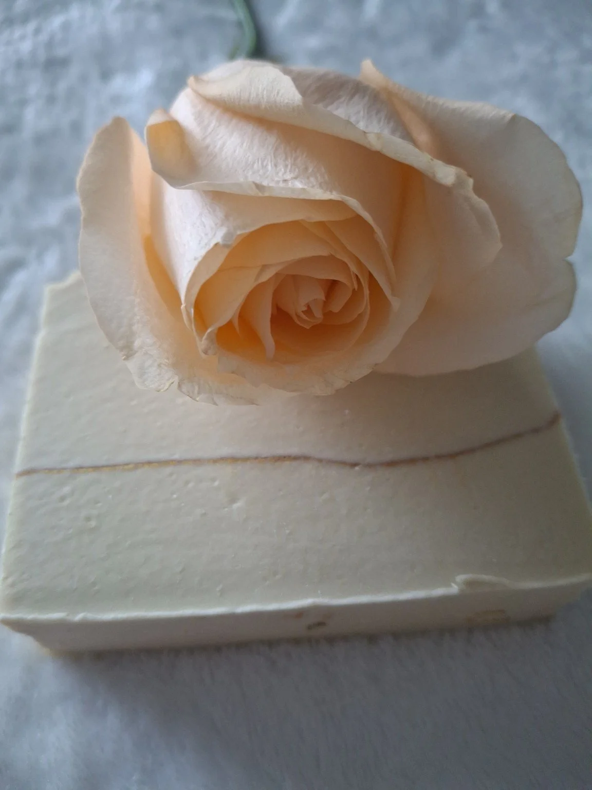 Pure Indulgence handmade tallow soap with avocado oil, organic coconut cream and a tiger lily, bergamot and musk fragrance. luxury soap