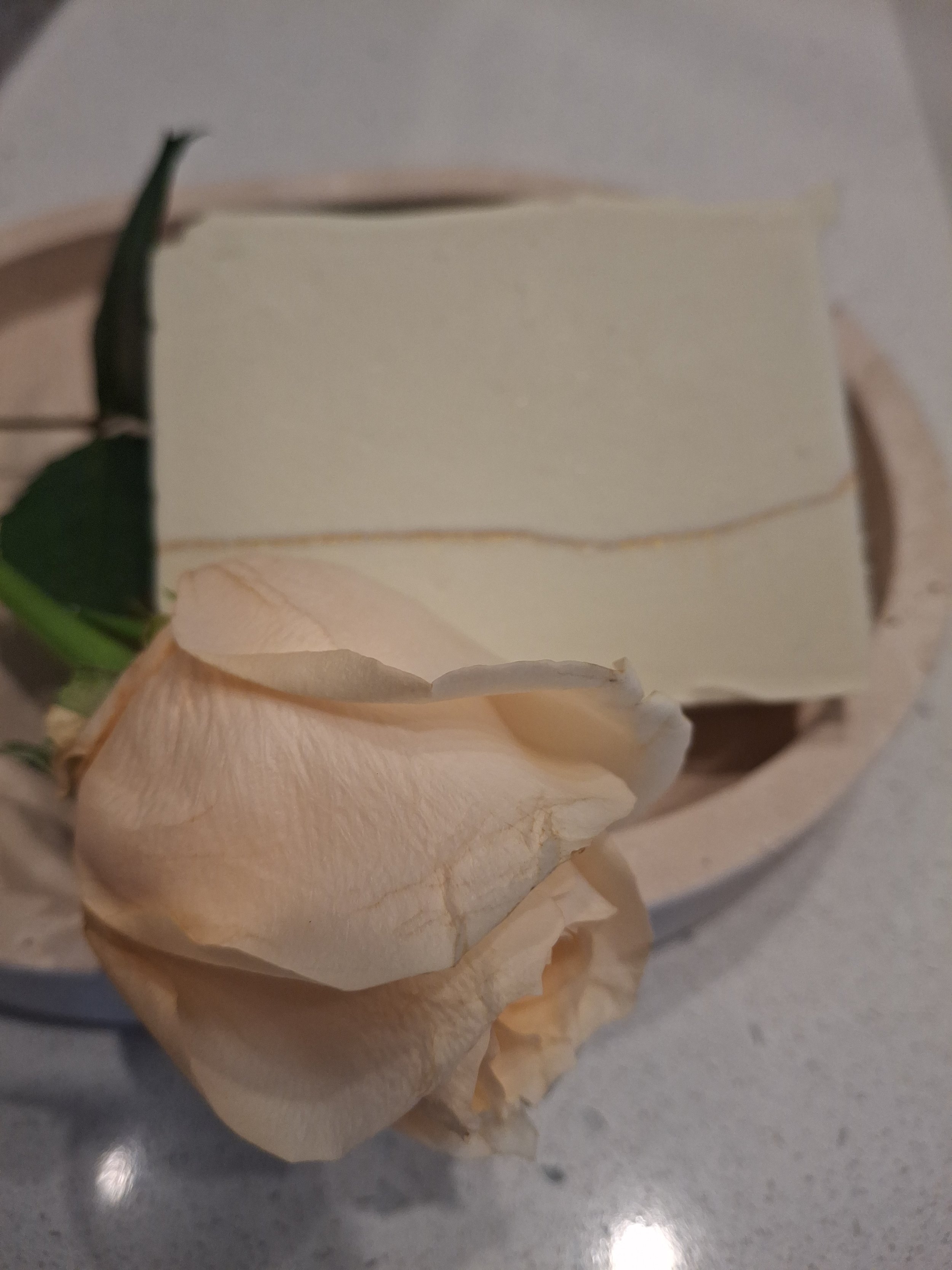 Coconut Cream Indulgence handcrafted tallow soap with avocado oil, coconut cream, soft lavender, warm musk and subtle woody notes.