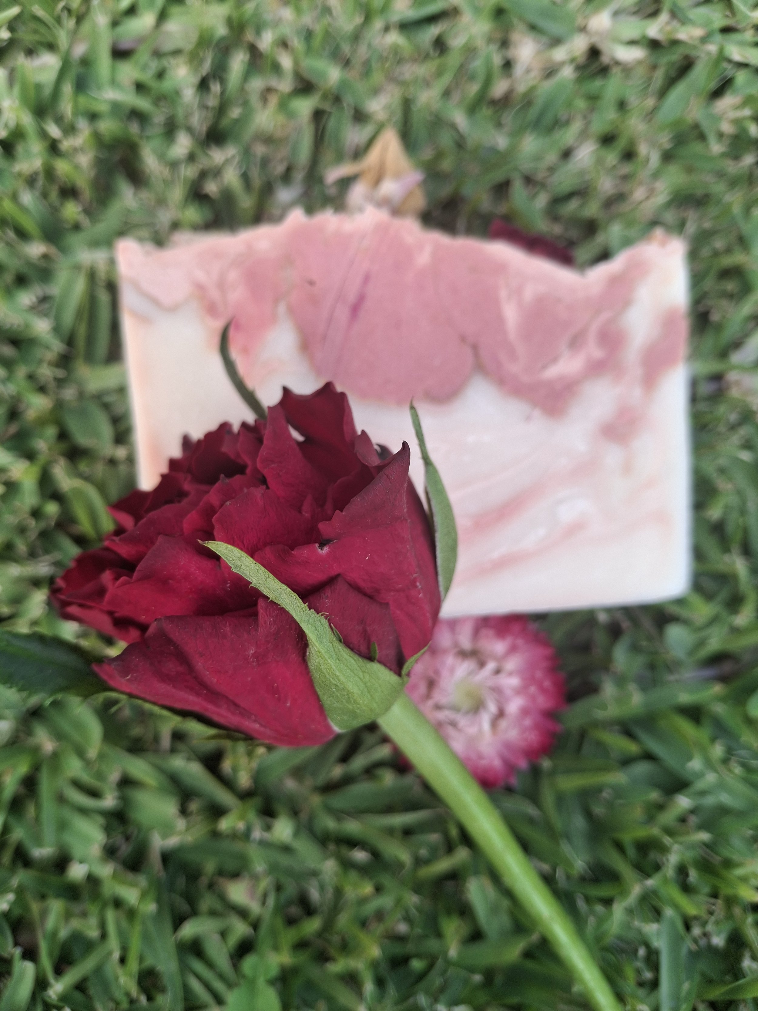 Velvet Bloom handcrafted rose tallow soap by Tallow Me Softly, scented with rich rose and a whisper of vanilla.