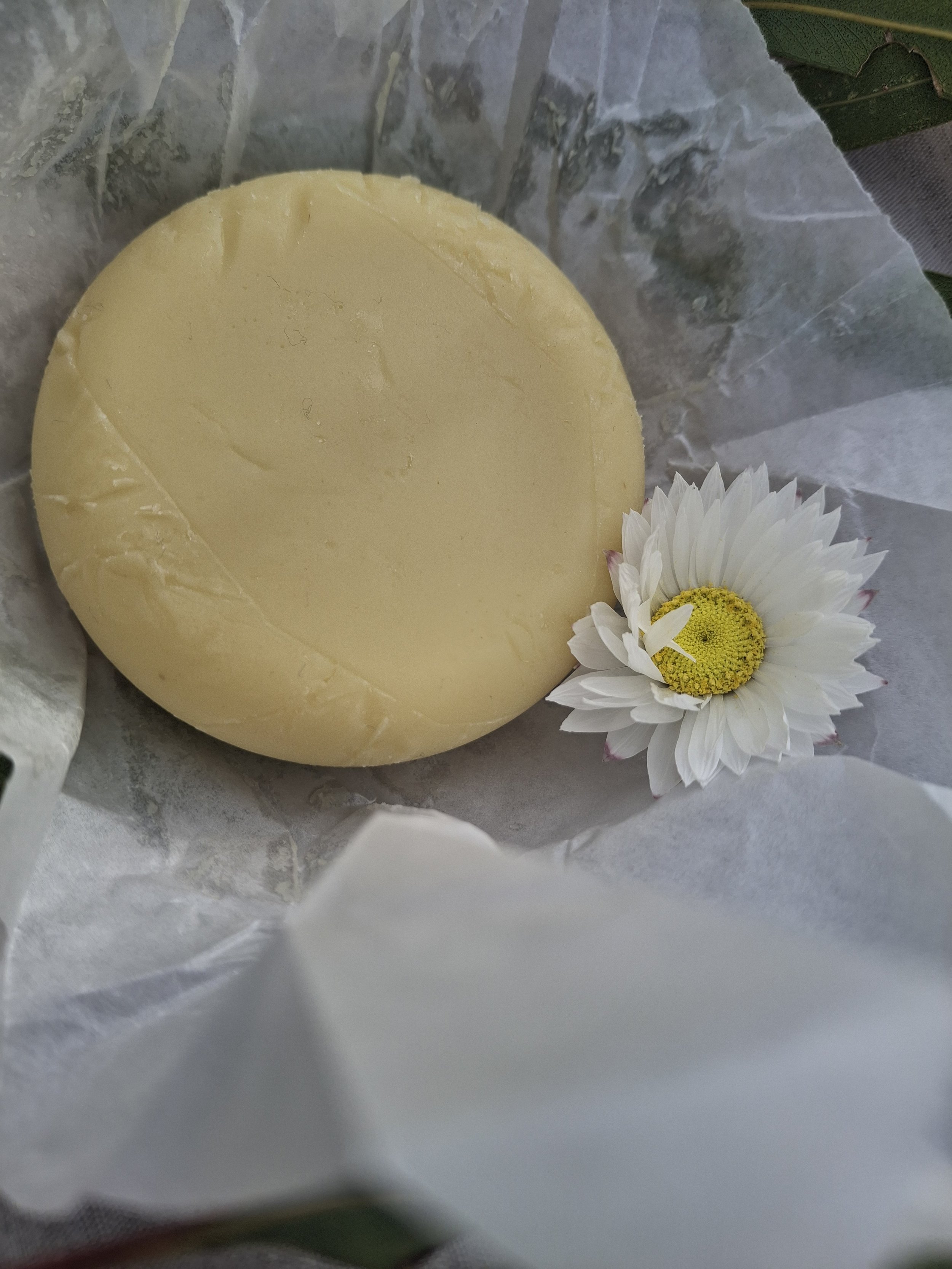 Close-up of the Tallow Me Softly Botanical Tallow Moisture Bar, showing the smooth handcrafted solid moisturiser puck with chamomile, calendula and nourishing botanical ingredients.