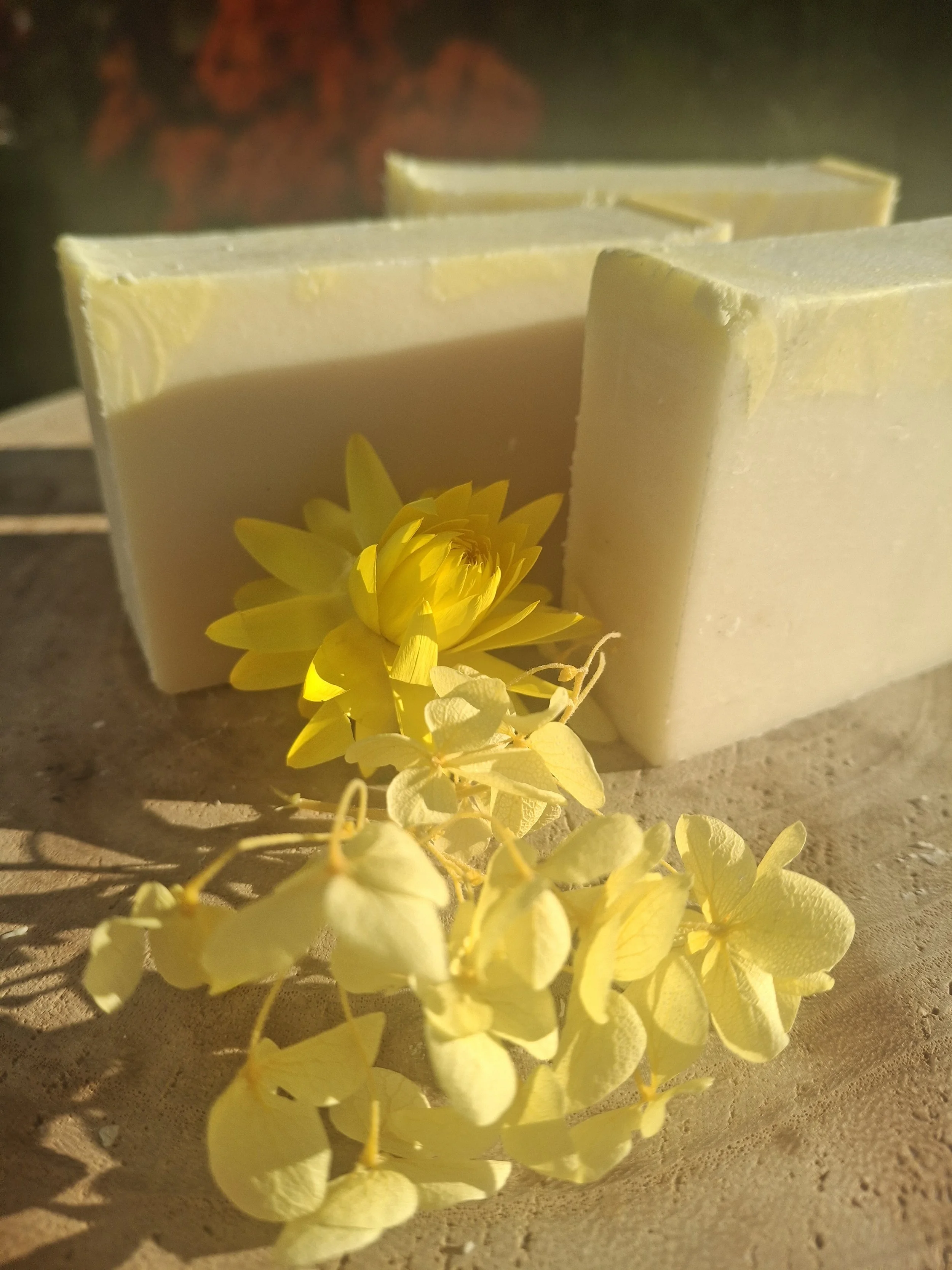 Golden Meadow- Available 25th August