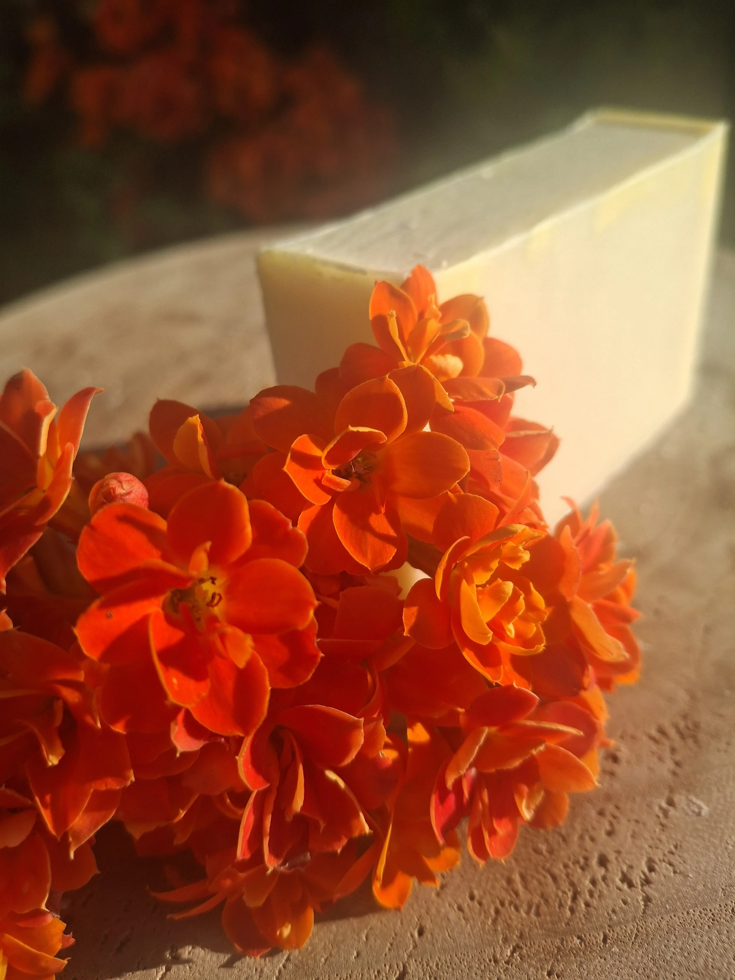 Close-up of Golden Meadow natural tallow soap with an activated charcoal swirl and creamy handmade finish.