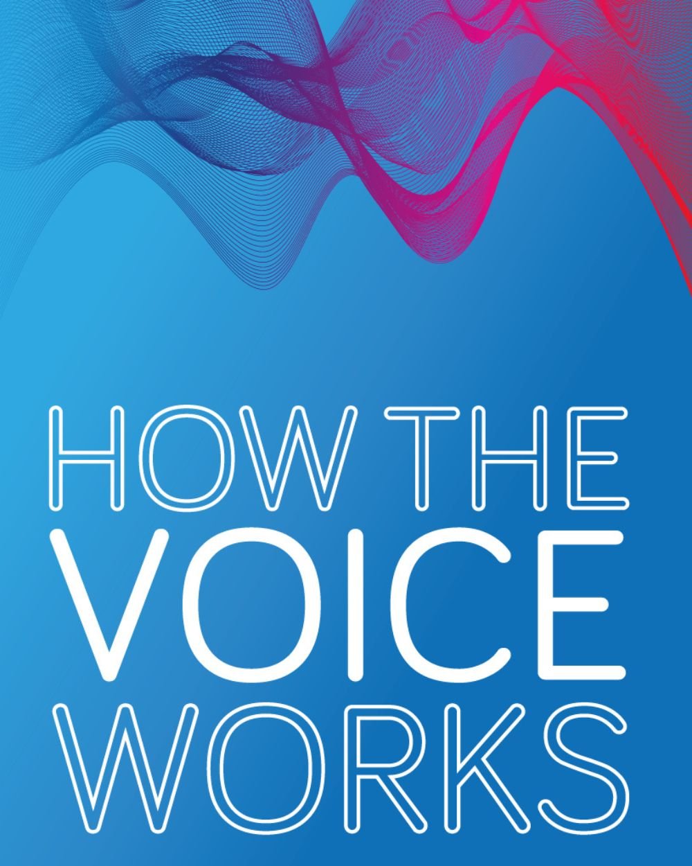How The Voice Works