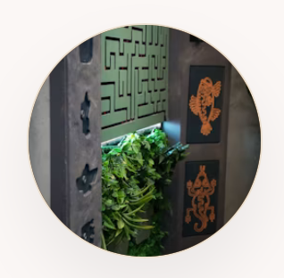 times up escape rooms