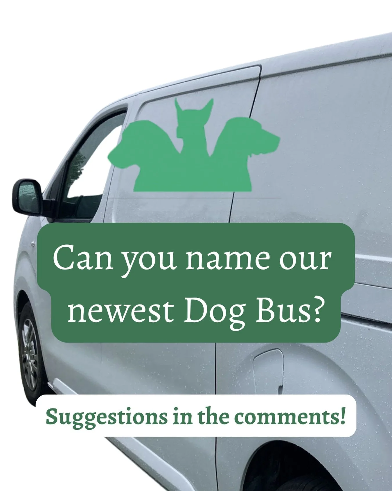 Can you help us name our newest dog bus? 🚌 

We&rsquo;d love your suggestions? So far, our fleet of vans are:

🐾Kenny Dogleash
🐾Woofy Goldberg 
🐾Taylor Sniffed
🐾 Spaniel Radcliffe
🐾 Mary Puppins (who is is retiring after 9 years of service)

Po
