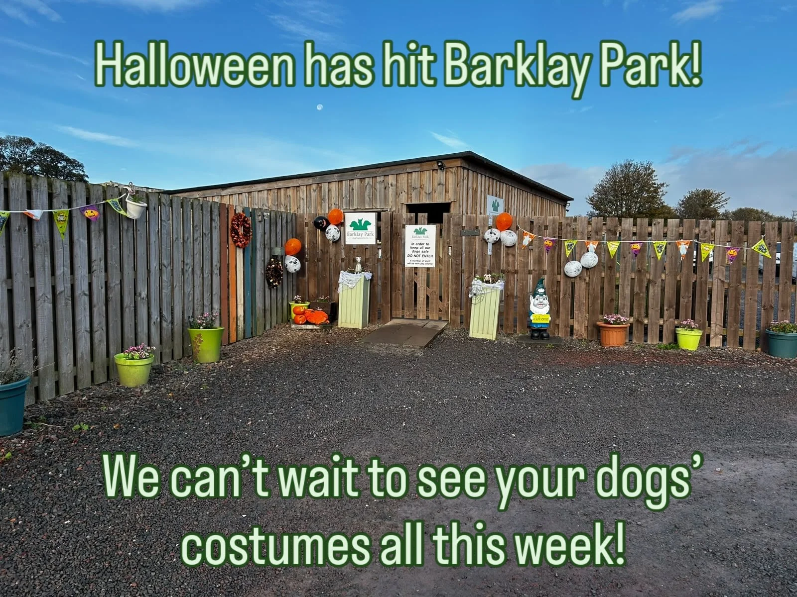 🎃🎃

It&rsquo;s getting spooky for Halloween Week at Barklay Park!

We can&rsquo;t wait to see your dogs in costume 🐾🐾 Please do share your photos in the comments too! 👻

#barklaypark #halloween #doggydaycareedinburgh #edinburghdogs #dogsofedinbu