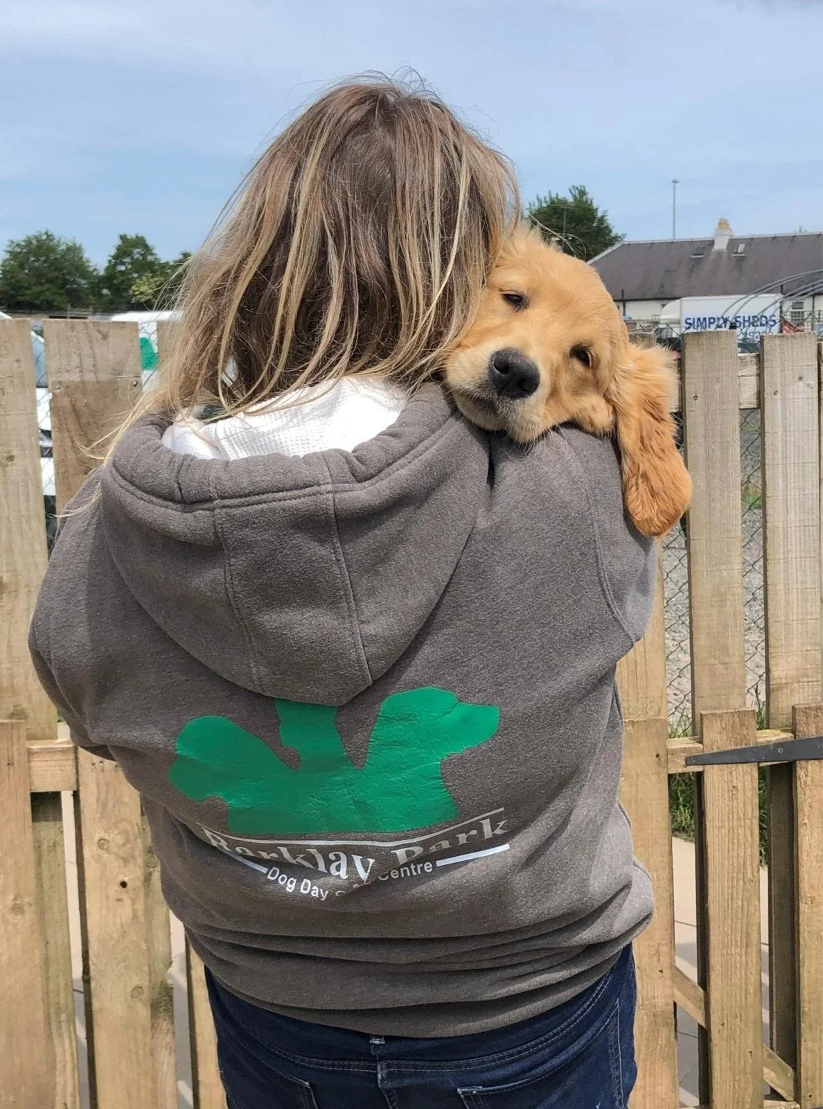 Person holding a golden retriever puppy with a wooden fence in the background at a dog park.