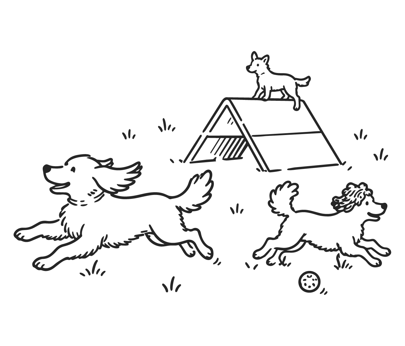 Two dogs playing outdoors near a doghouse with a roof. One dog is running with a happy expression, while the other stands on top of the doghouse. There is a ball on the ground nearby.