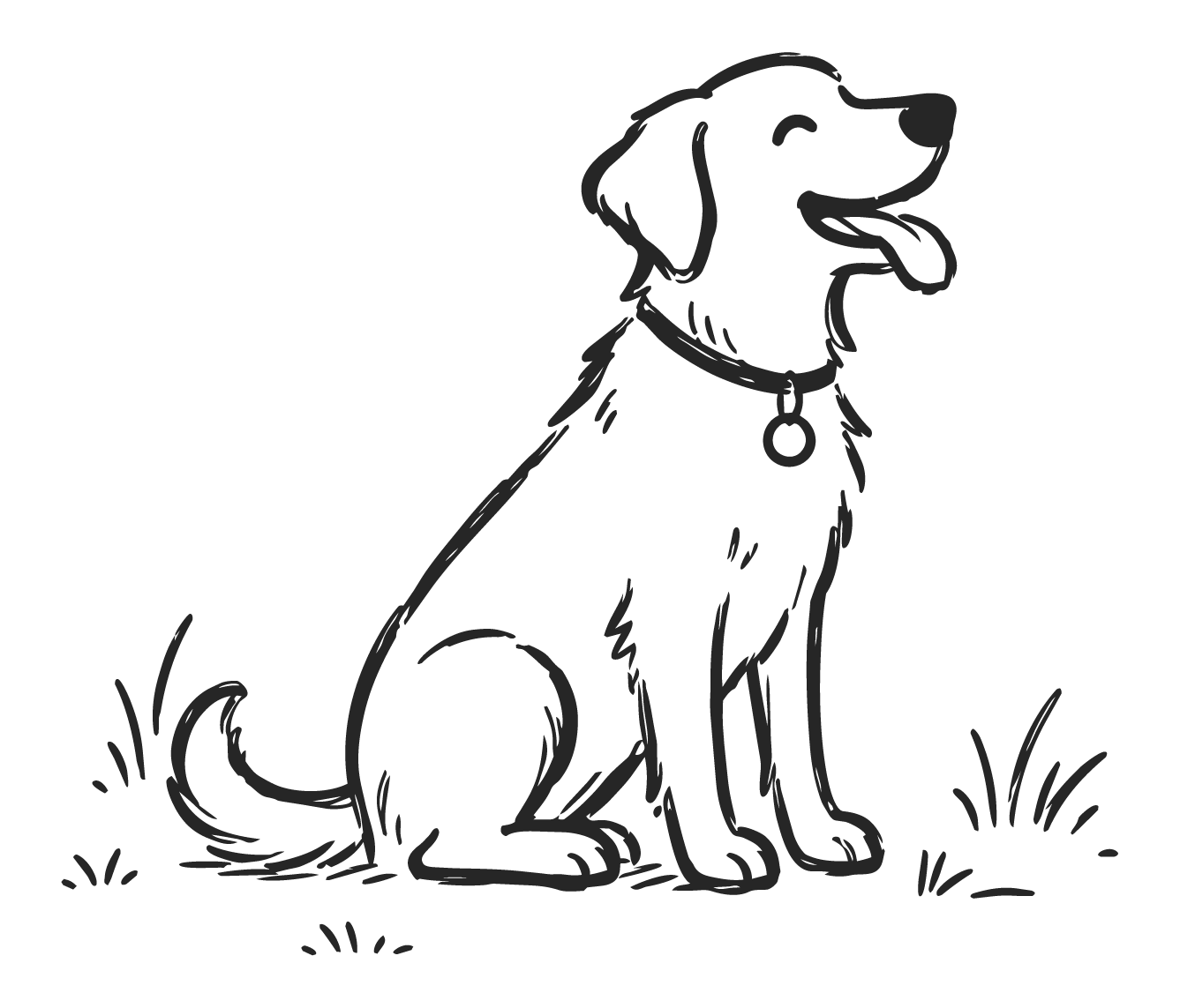 Outline drawing of a sitting Labrador Retriever dog with a collar, tongue out, surrounded by patches of grass.