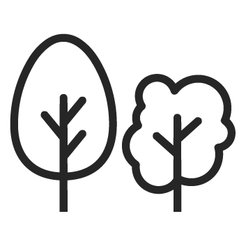 Outline drawing of two trees, one tall and thin and one short and bushy.