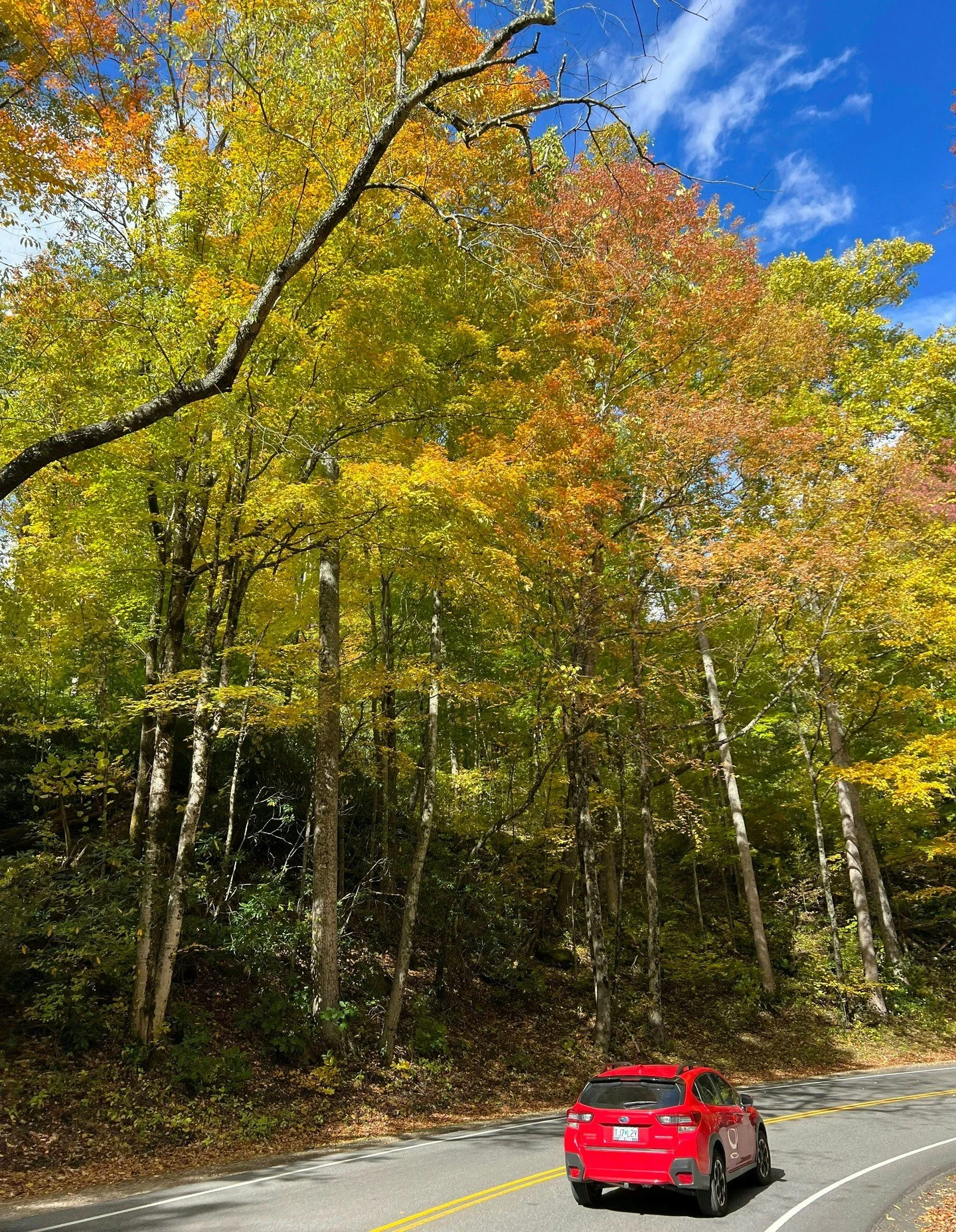 And just like that, its the first official day of fall in the Smokies! ❤️ 🍂 

Take in the beautiful mountain views, enjoy the colorful leaves, and bring someone you love along for the season. 🍁