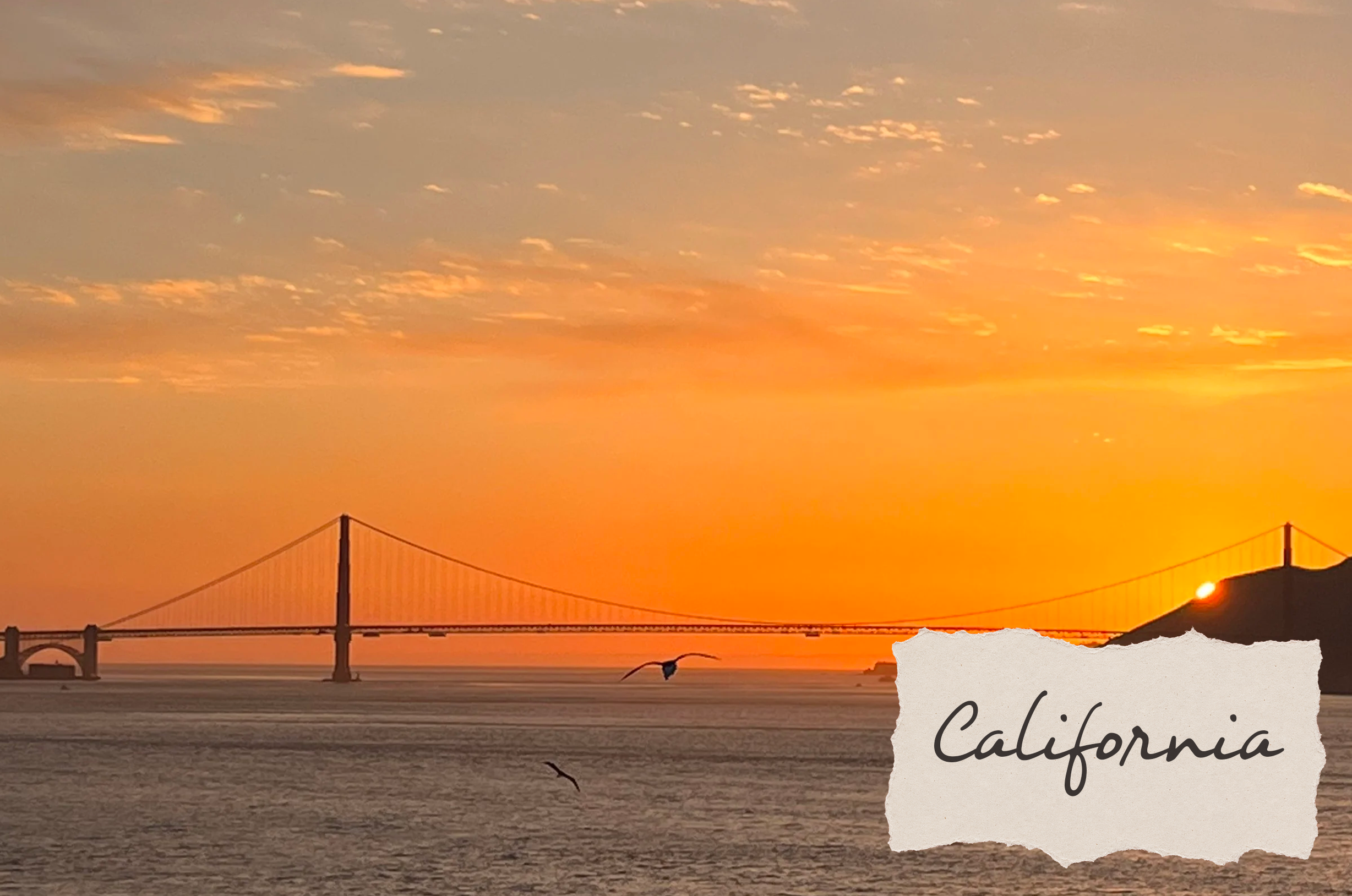 Exploring the sunshine state - San Francisco to Sacramento
