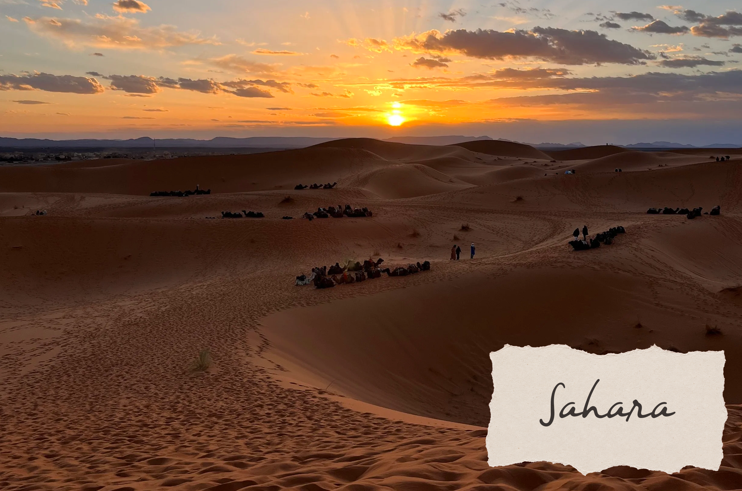What the Sahara desert is really like