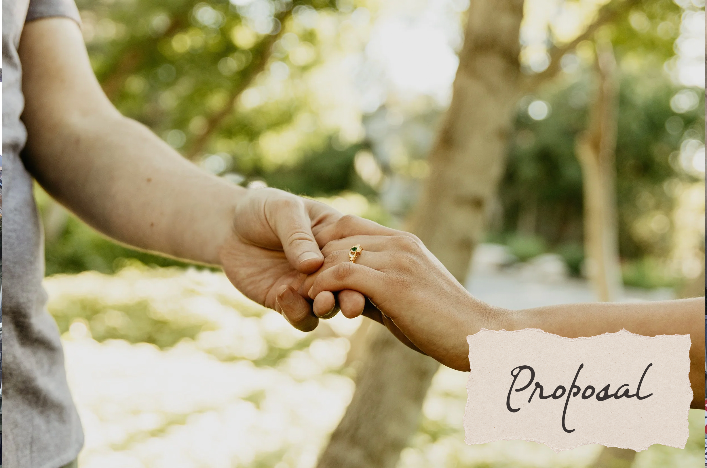 The Proposal