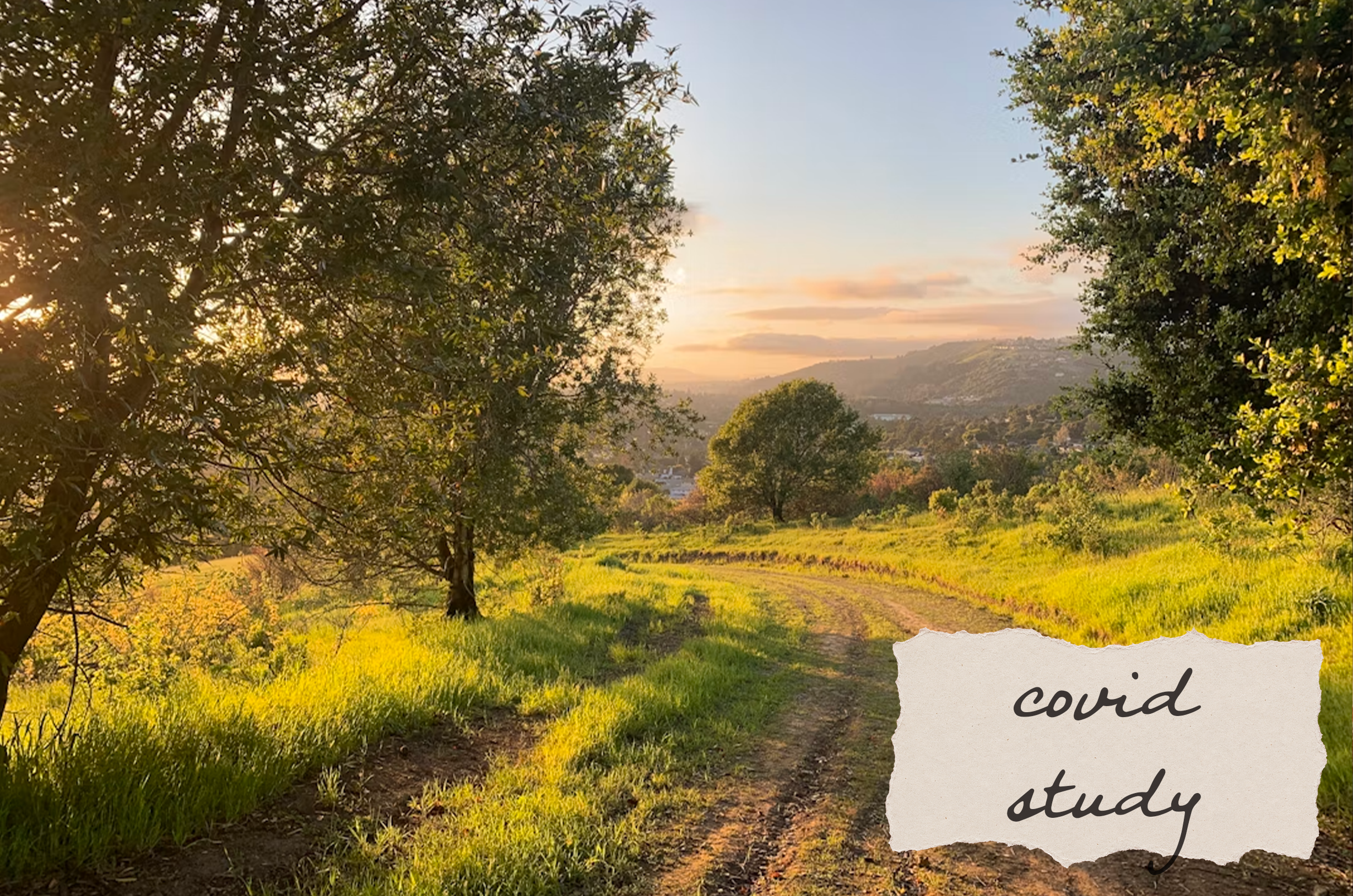 COVID-19's Impact on Working From Home Culture